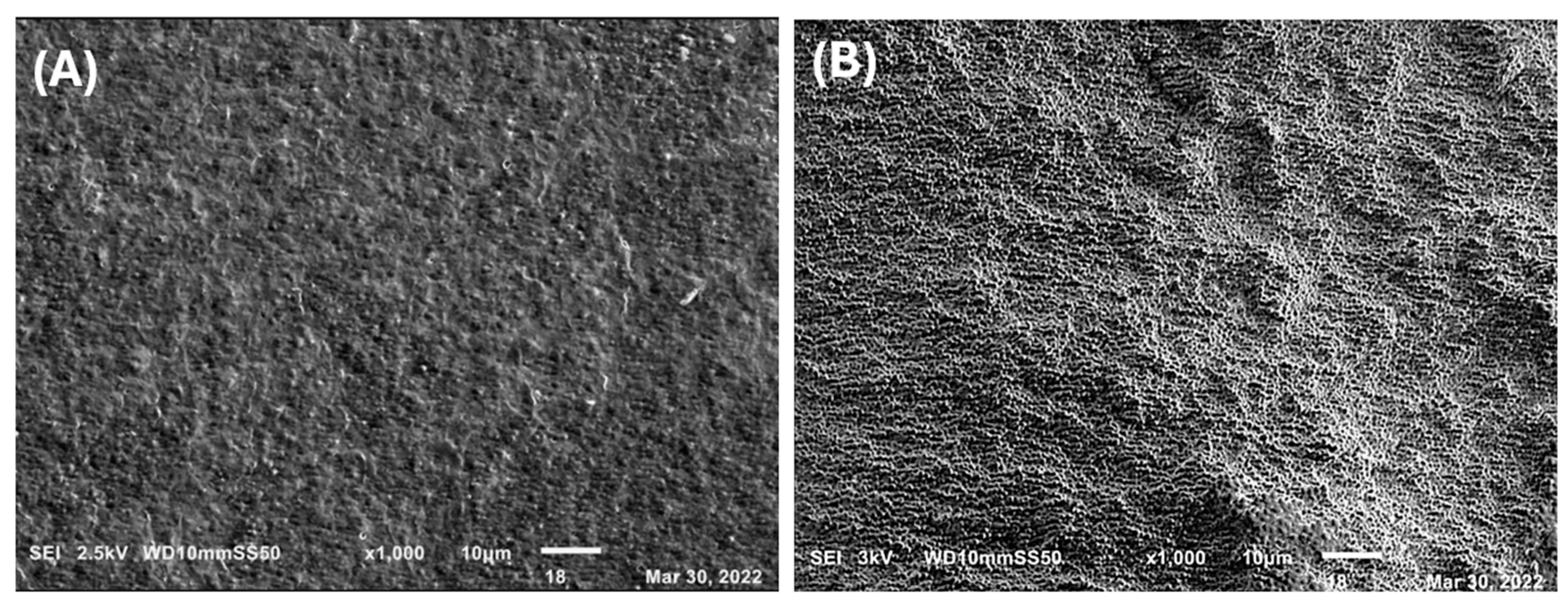 Ijms 25 08996 g008 Ijms 25 08996 g008