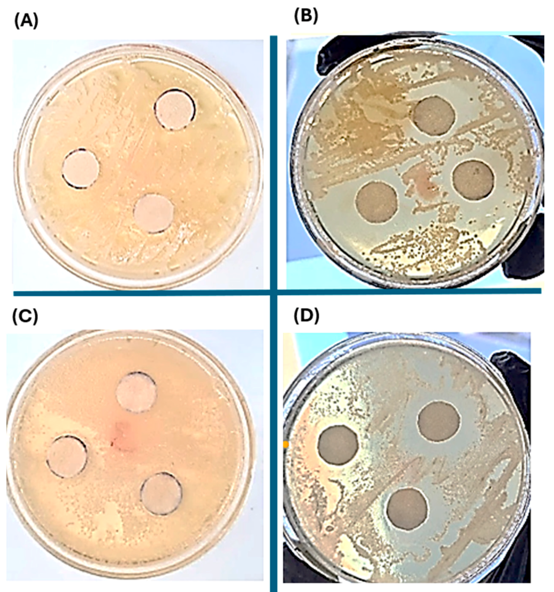 Ijms 25 08996 g009 Ijms 25 08996 g009