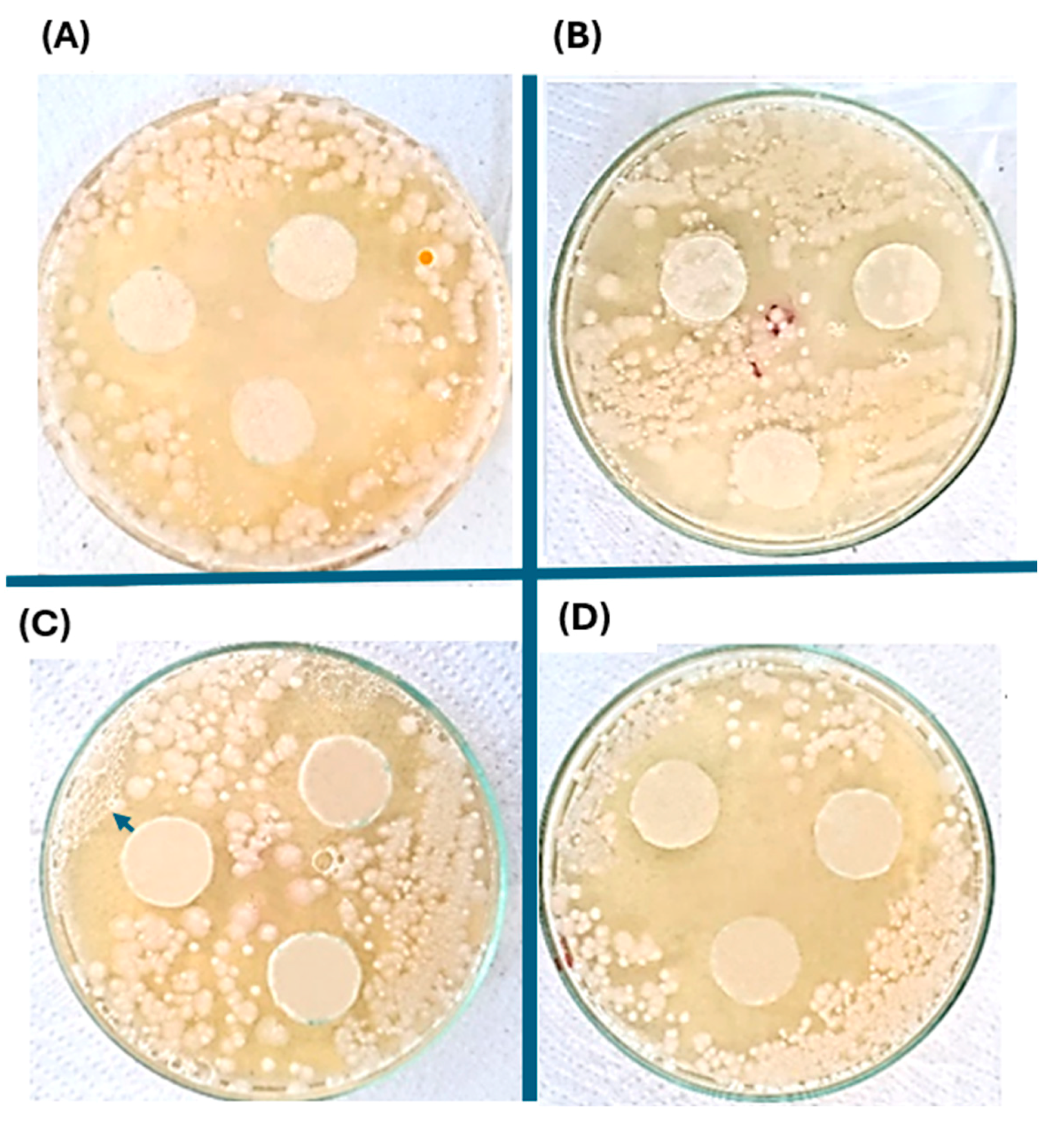 Ijms 25 08996 g010 Ijms 25 08996 g010
