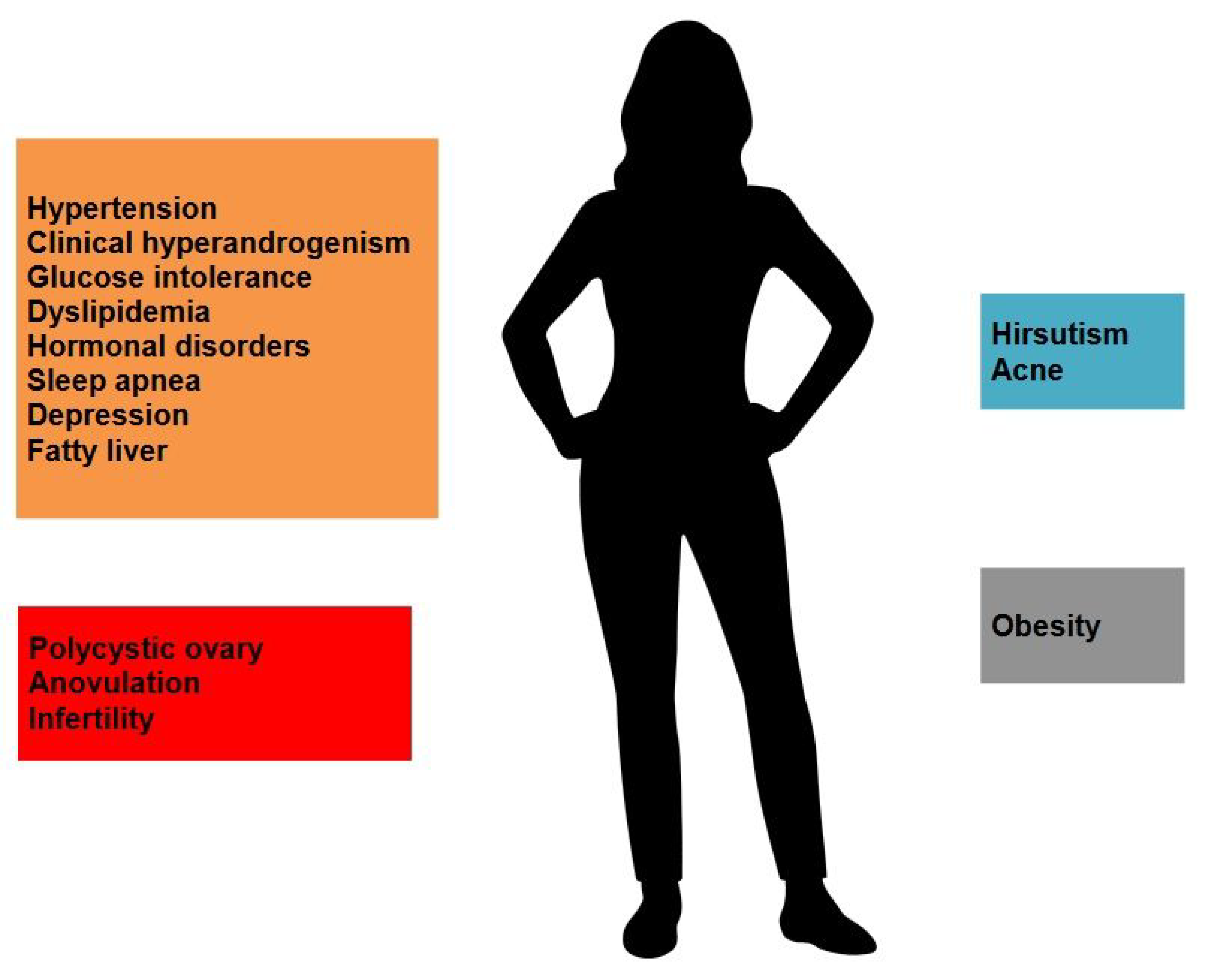 Ijms 25 09037 g001 Ijms 25 09037 g001