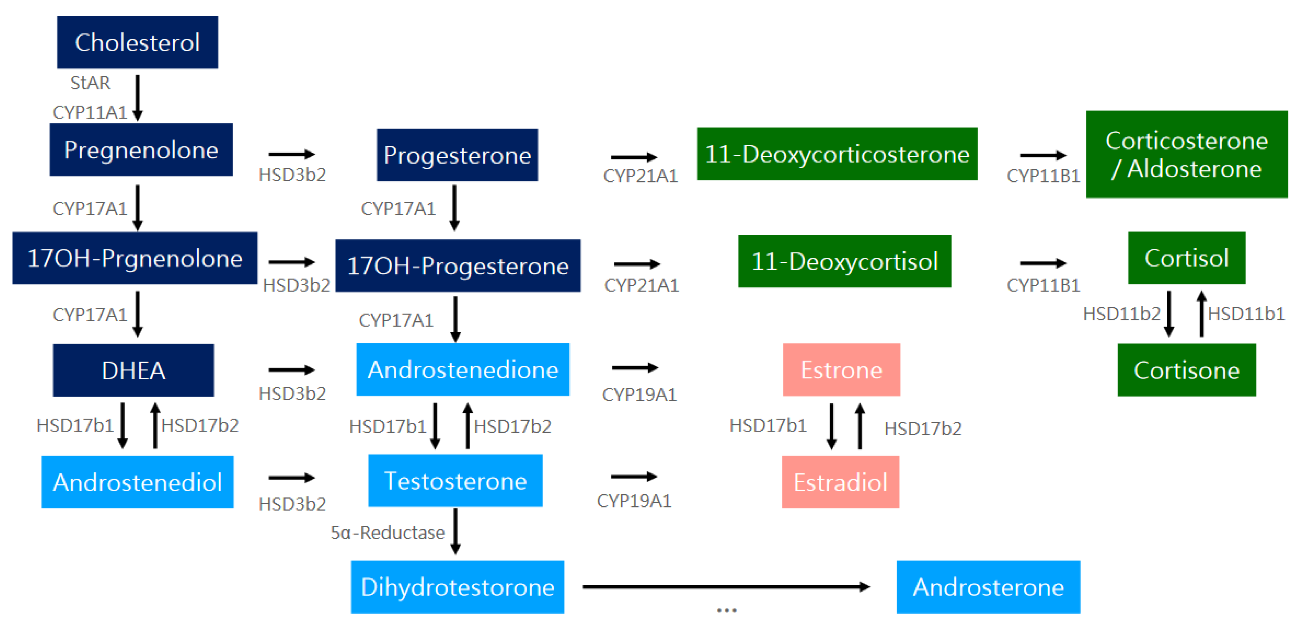 Ijms 25 09037 g005 Ijms 25 09037 g005