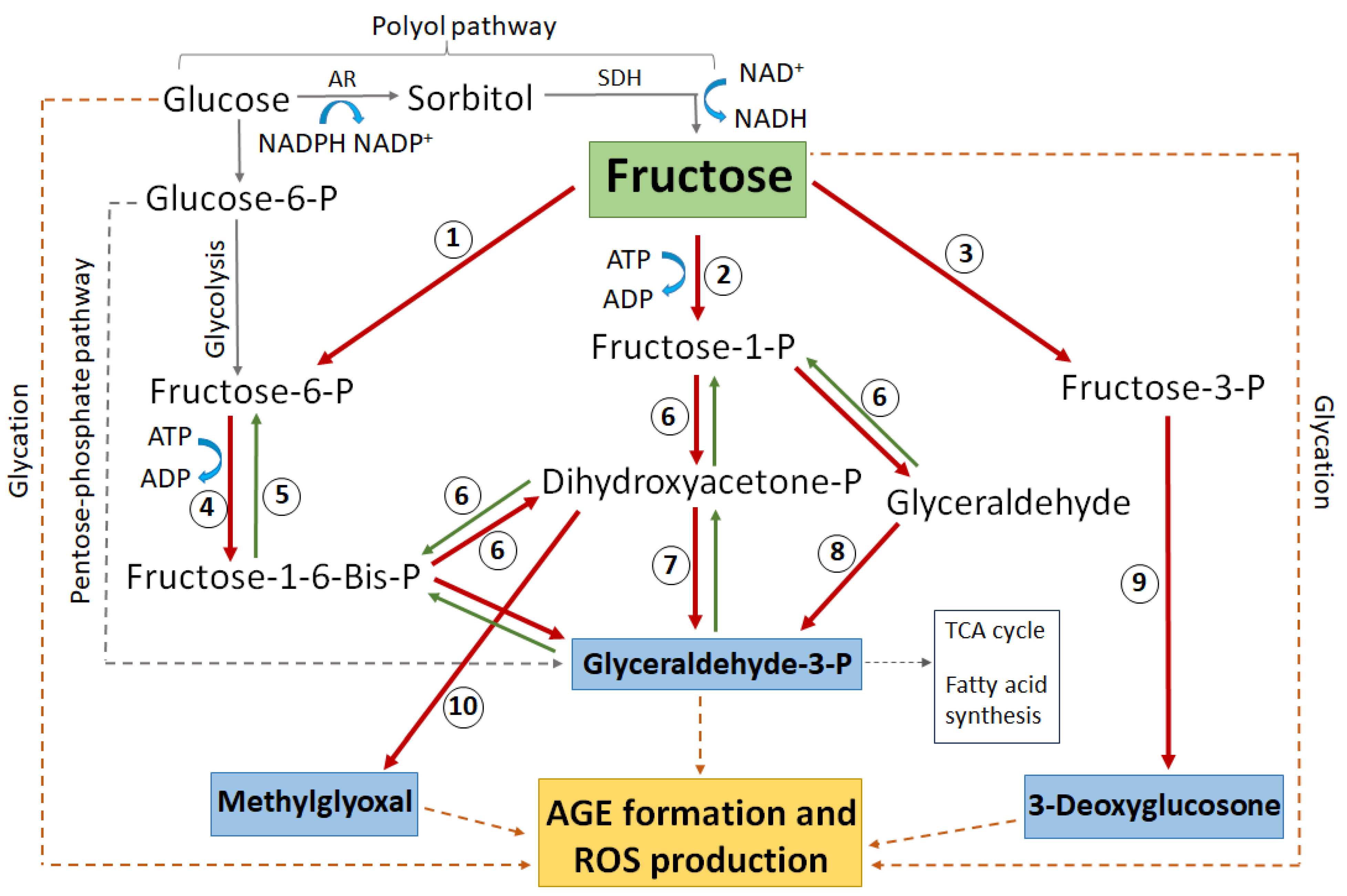 Ijms 25 09042 g005 Ijms 25 09042 g005