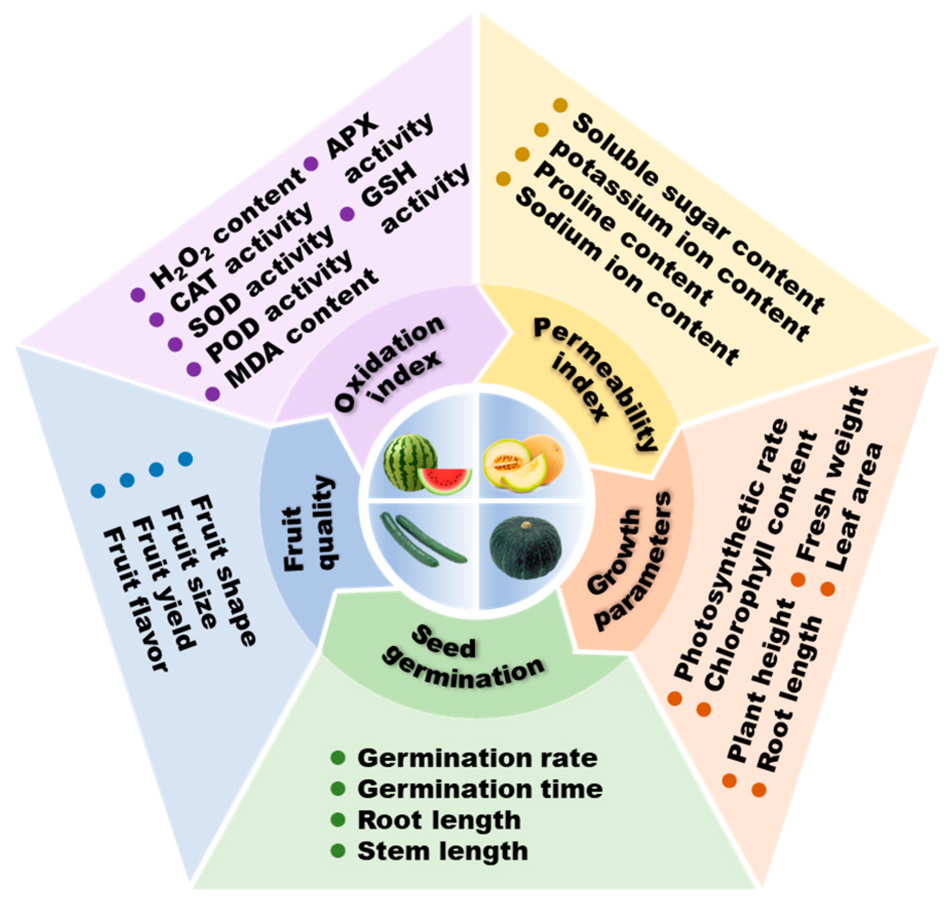 Ijms 25 09051 g002 Ijms 25 09051 g002