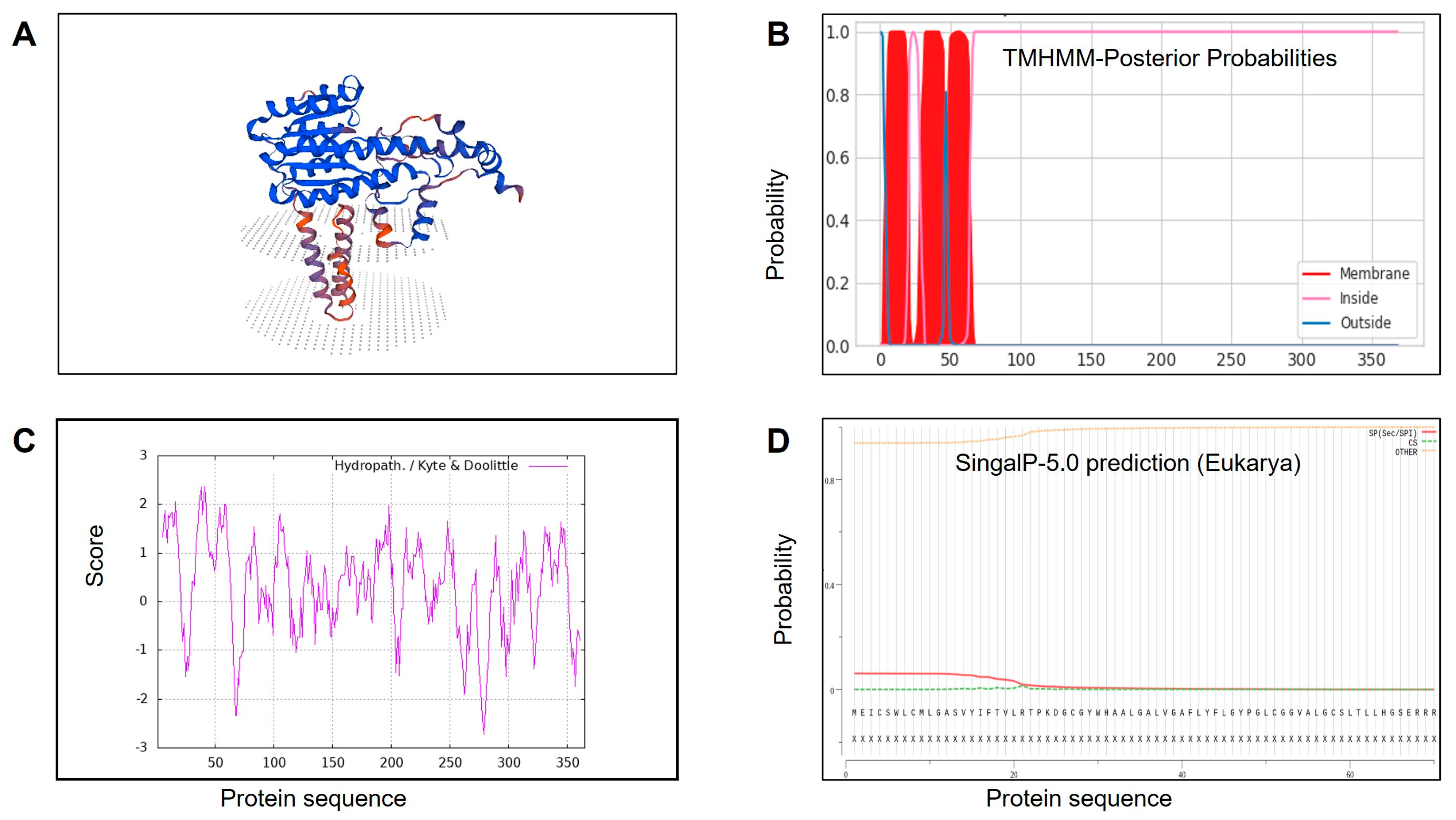 Ijms 25 09063 g003 Ijms 25 09063 g003