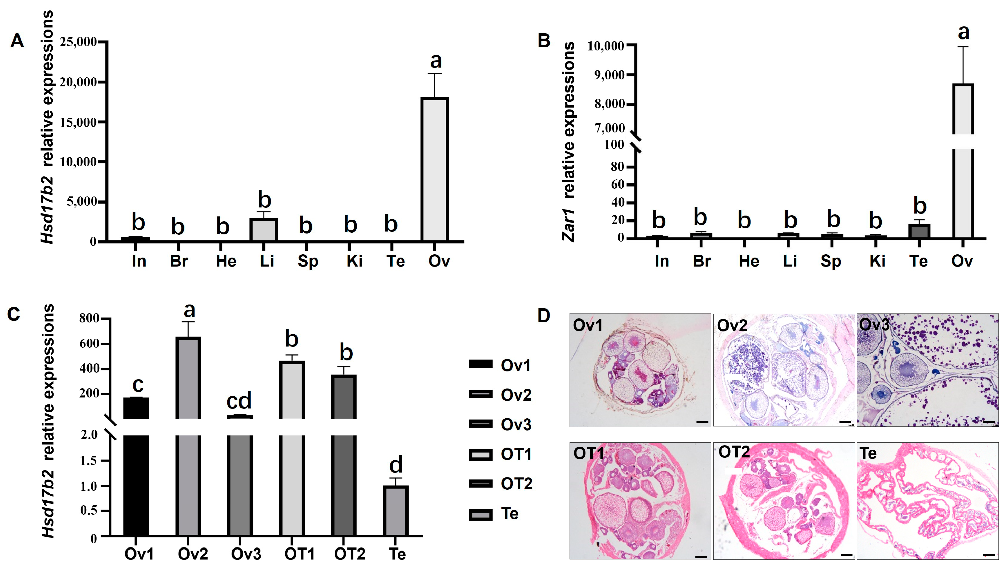 Ijms 25 09063 g004 Ijms 25 09063 g004