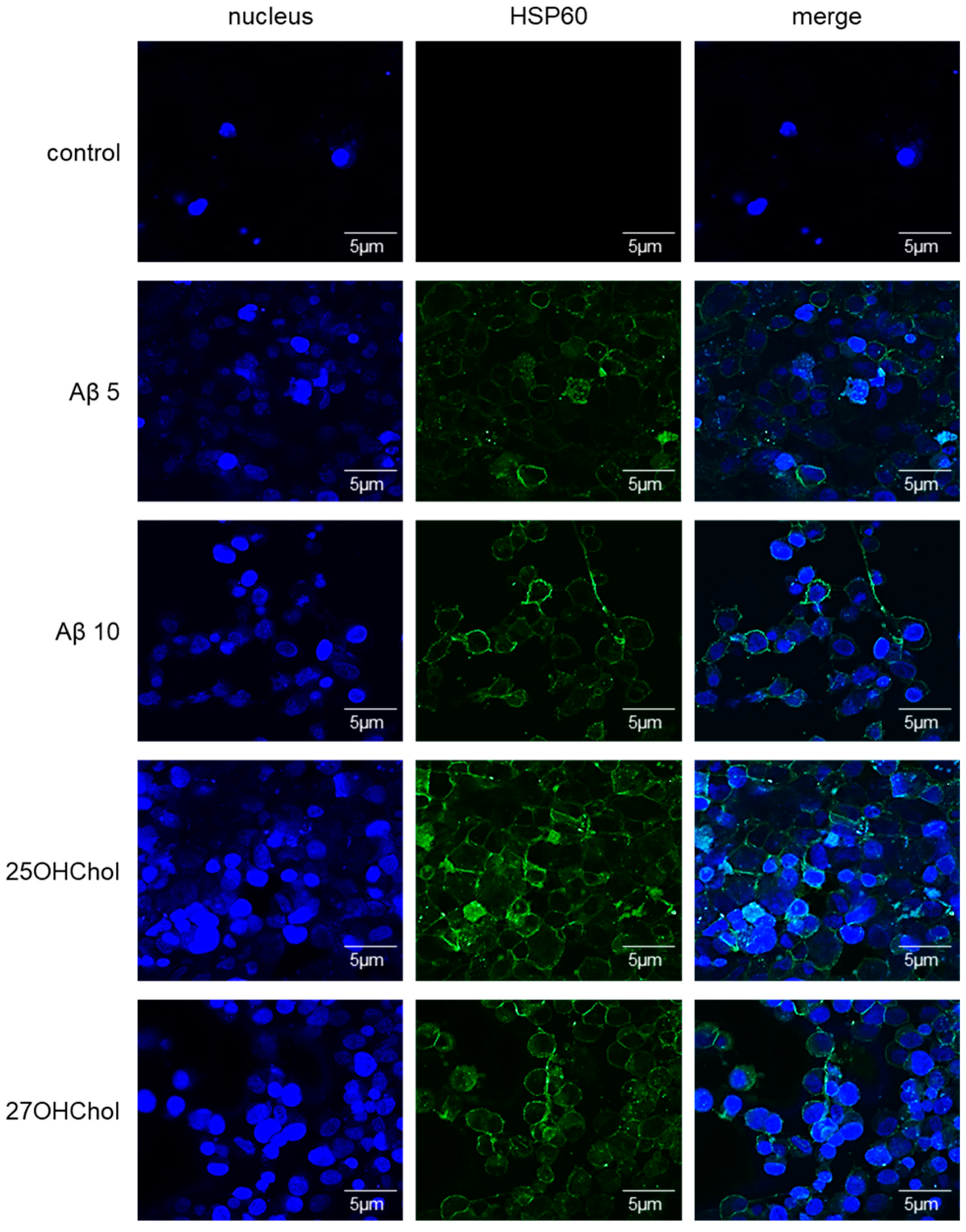 Ijms 25 09073 g004 Ijms 25 09073 g004