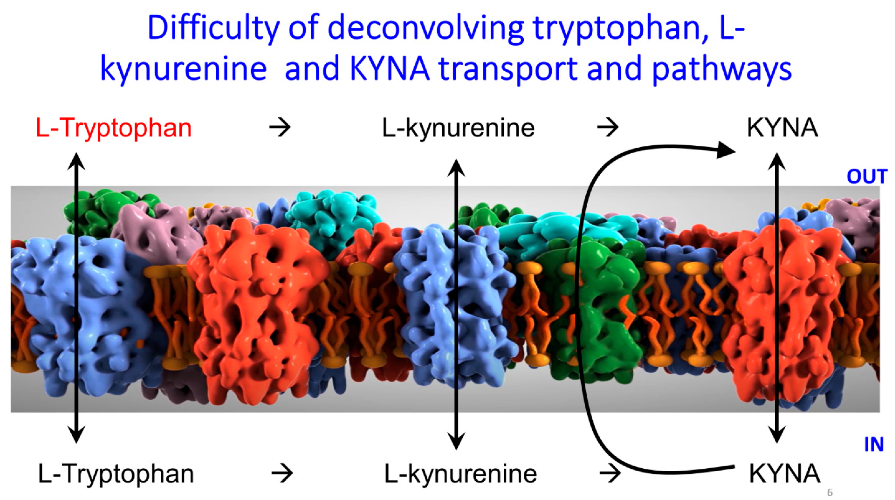 Ijms 25 09082 g006 Ijms 25 09082 g006