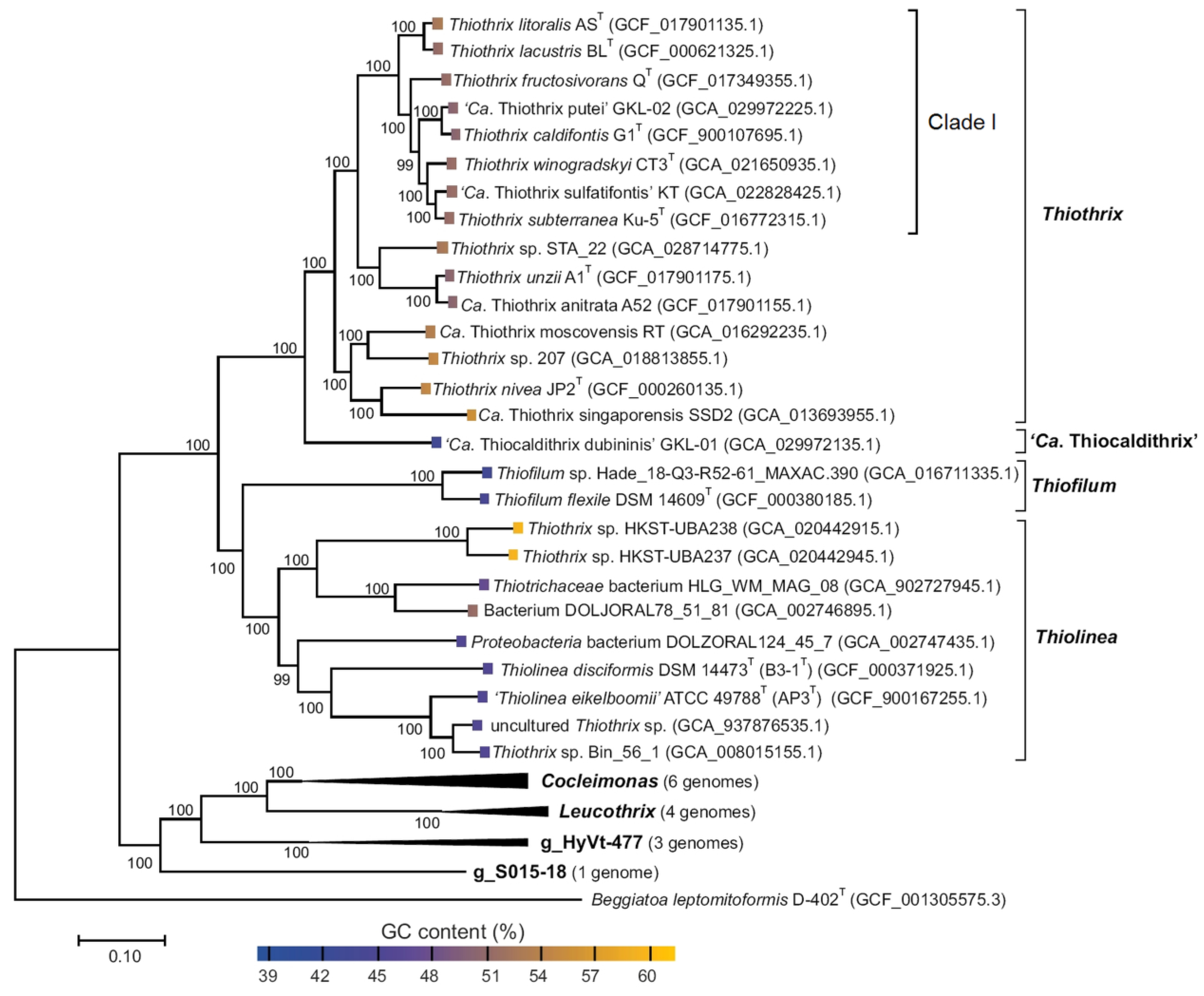 Ijms 25 09093 g001 Ijms 25 09093 g001