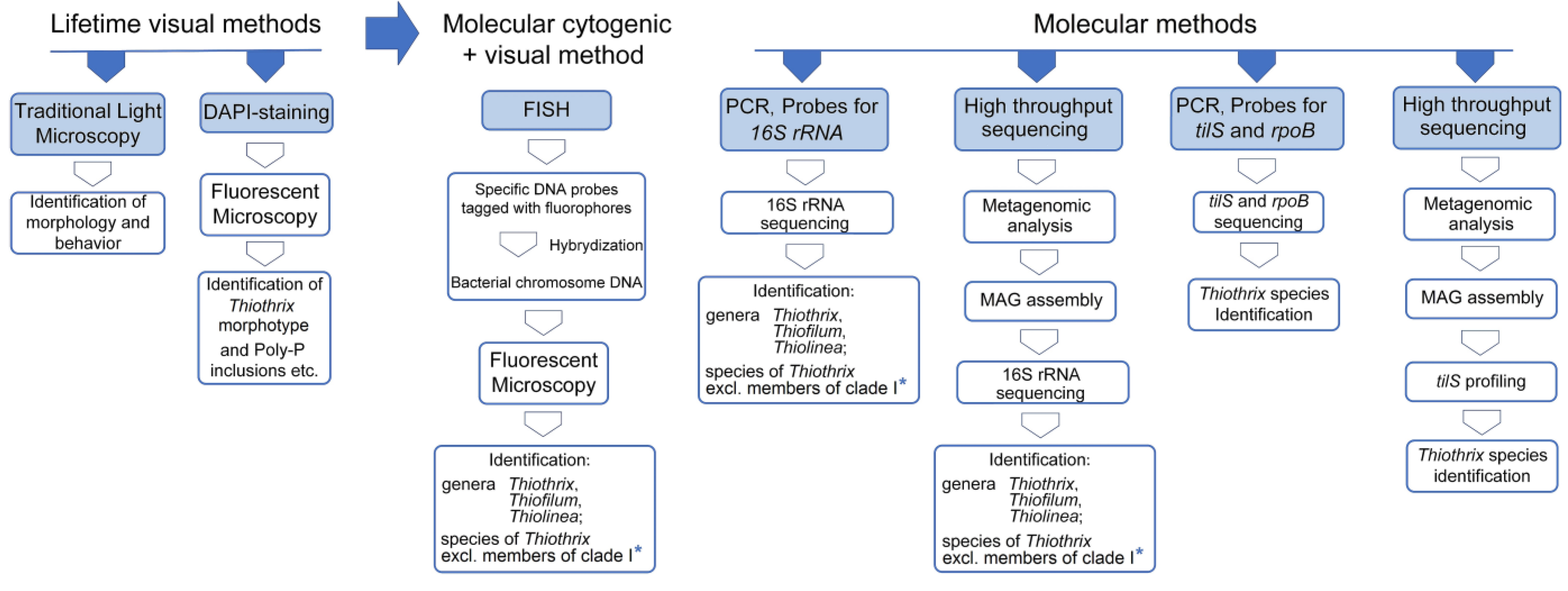 Ijms 25 09093 g002 Ijms 25 09093 g002