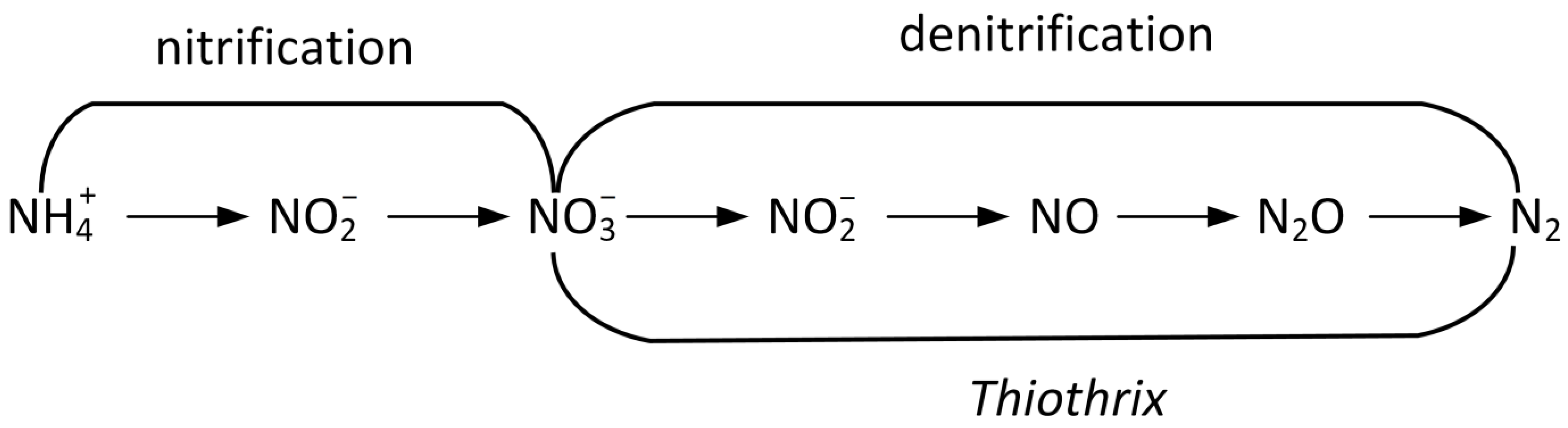 Ijms 25 09093 g007 Ijms 25 09093 g007