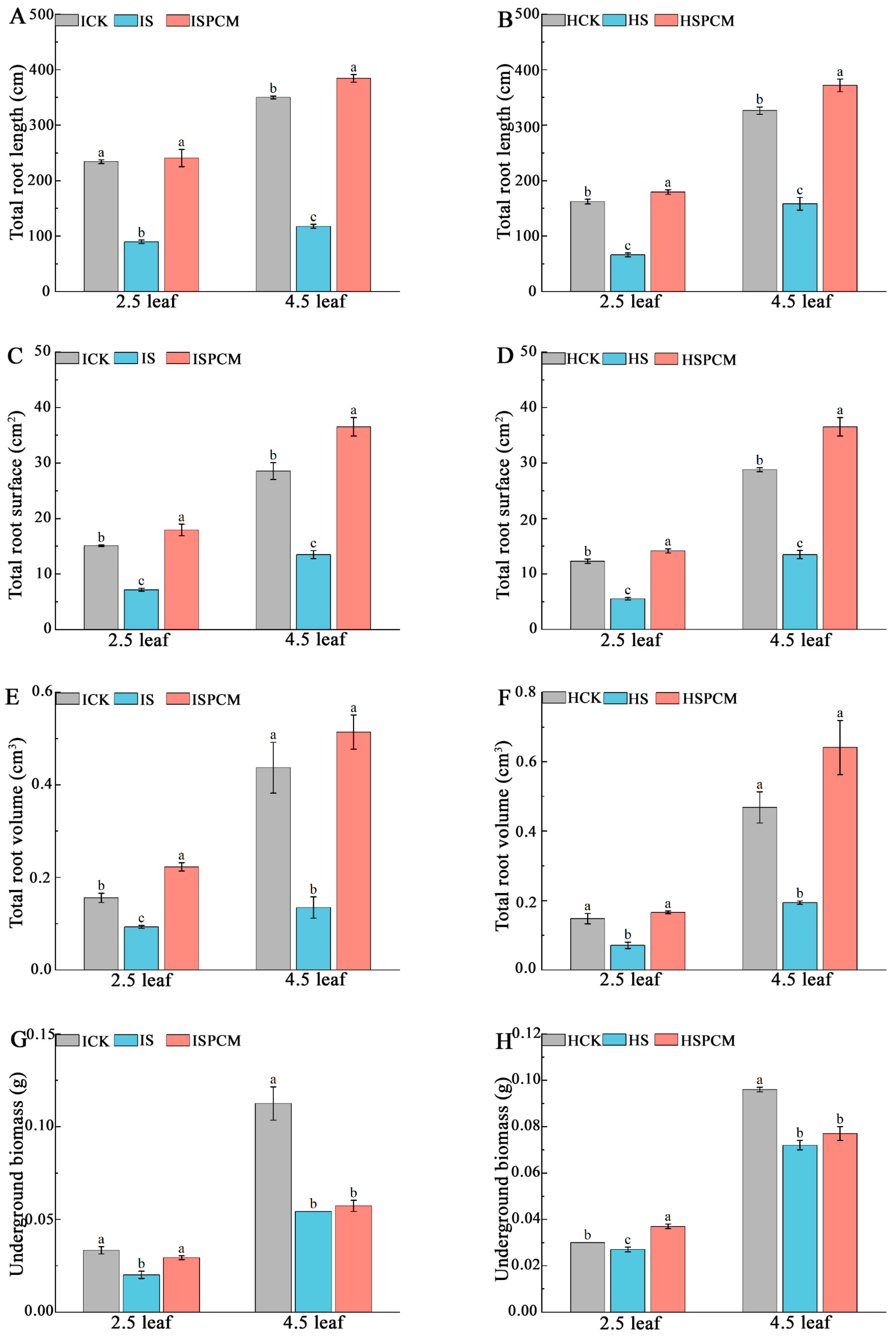 Ijms 25 09124 g003 Ijms 25 09124 g003