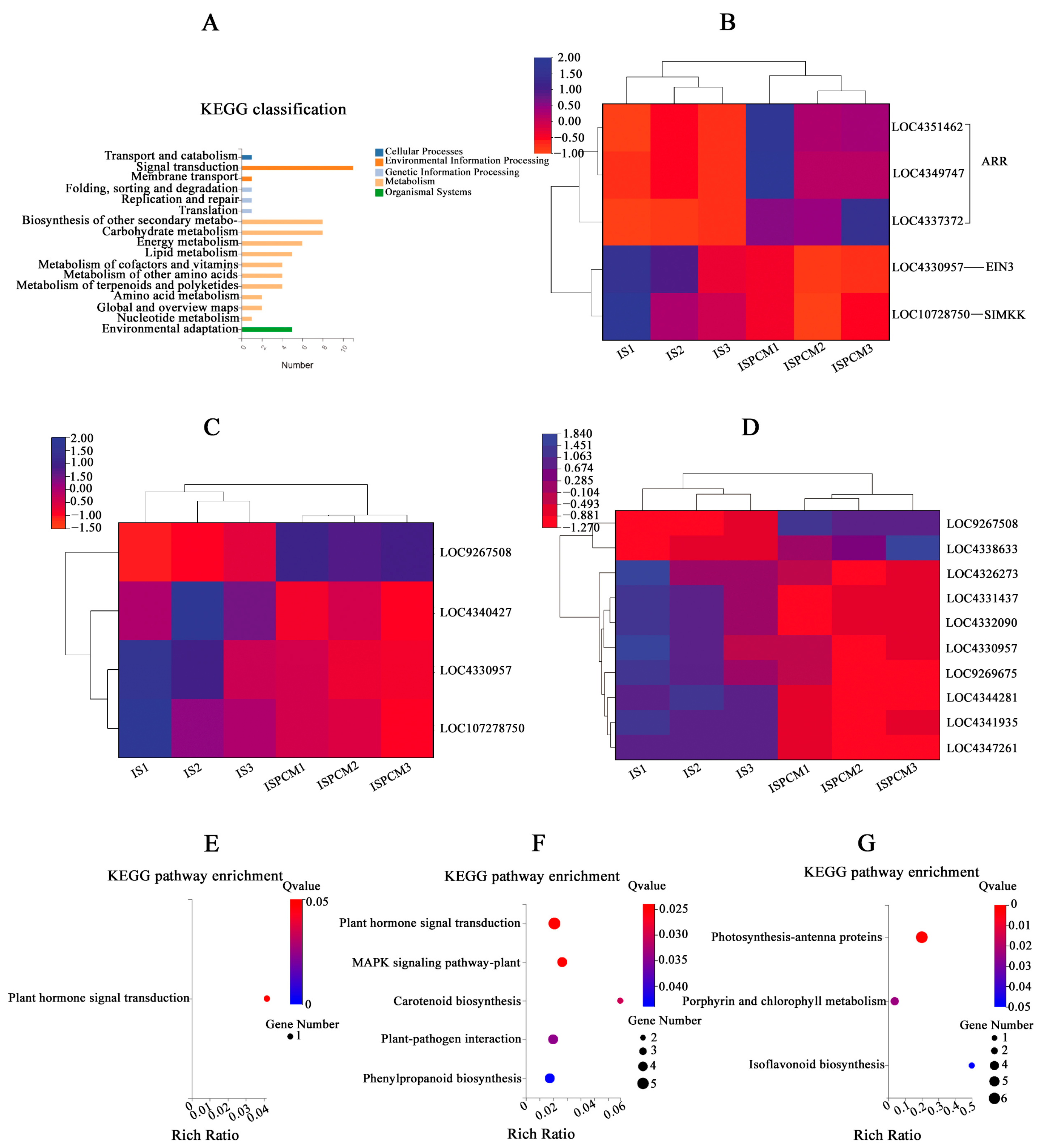 Ijms 25 09124 g008 Ijms 25 09124 g008