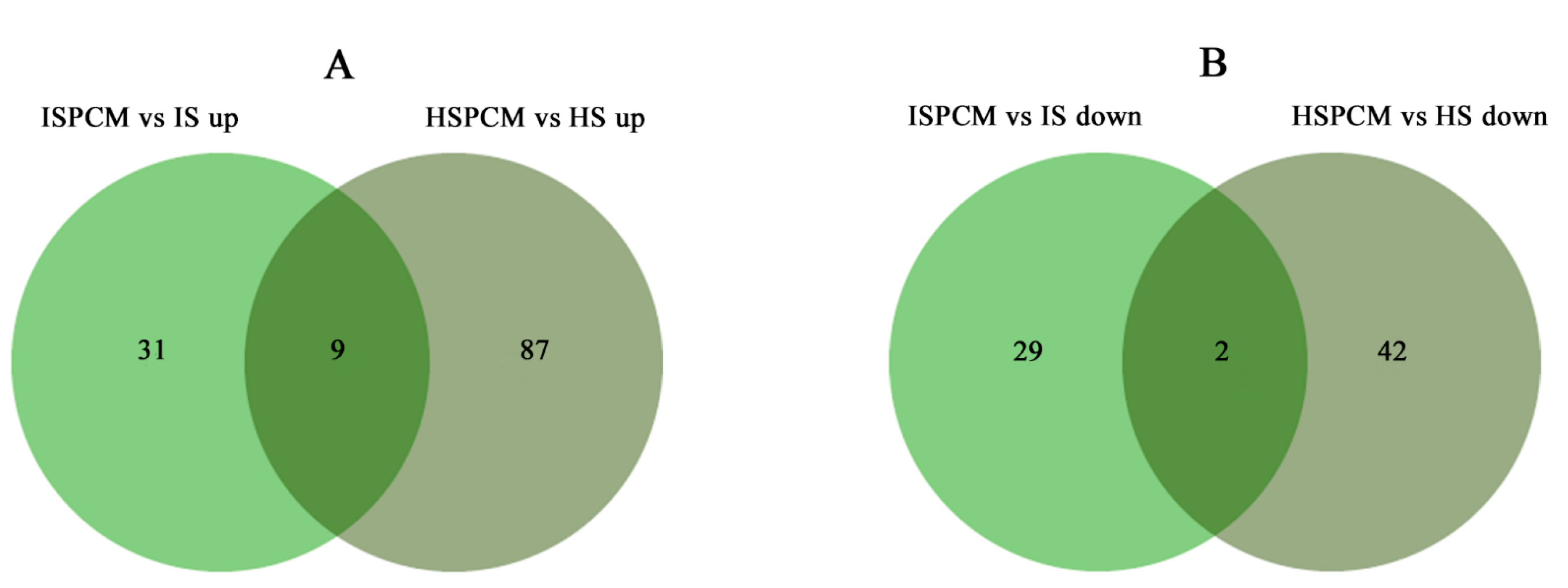 Ijms 25 09124 g010 Ijms 25 09124 g010