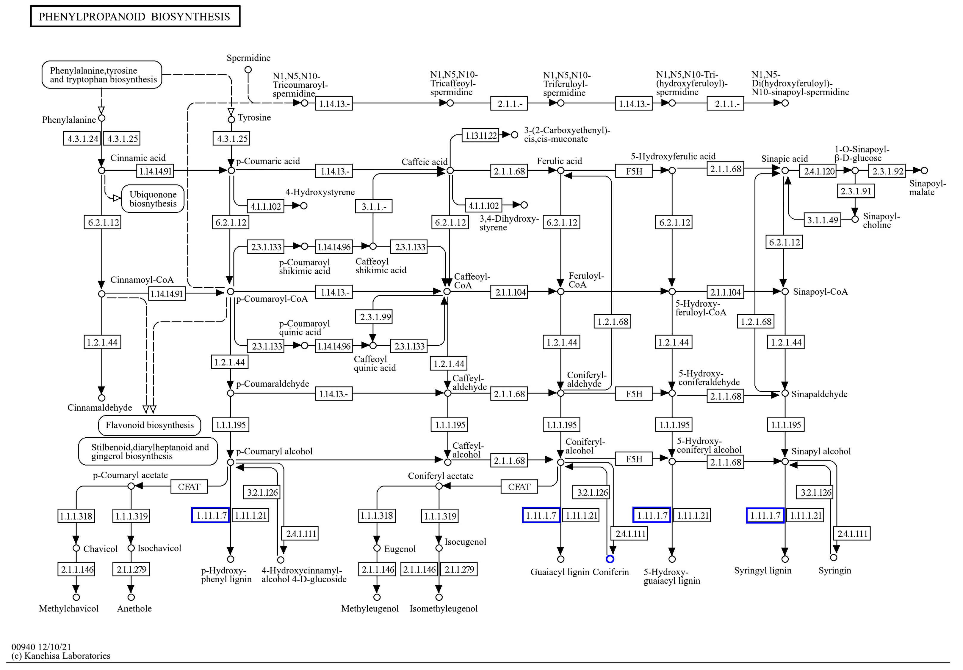 Ijms 25 09124 g013 Ijms 25 09124 g013