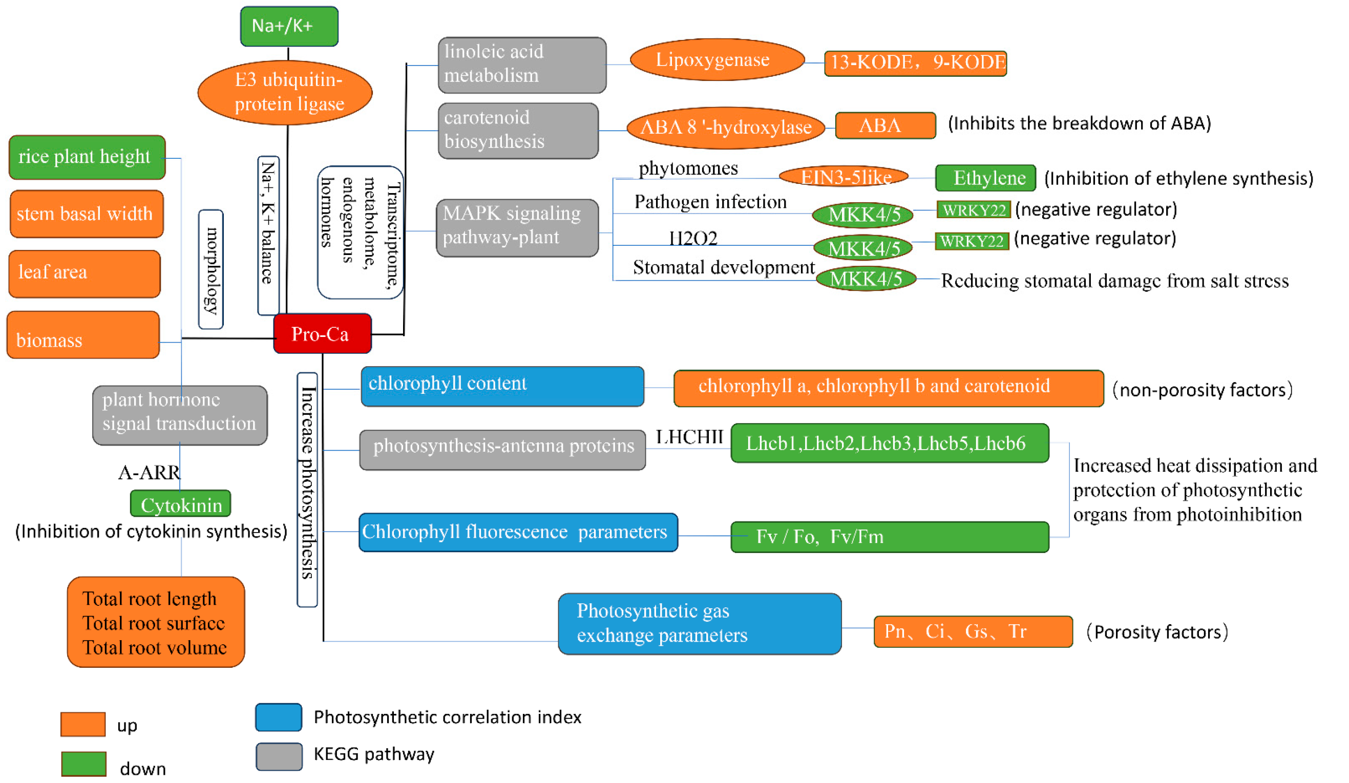 Ijms 25 09124 g015 Ijms 25 09124 g015
