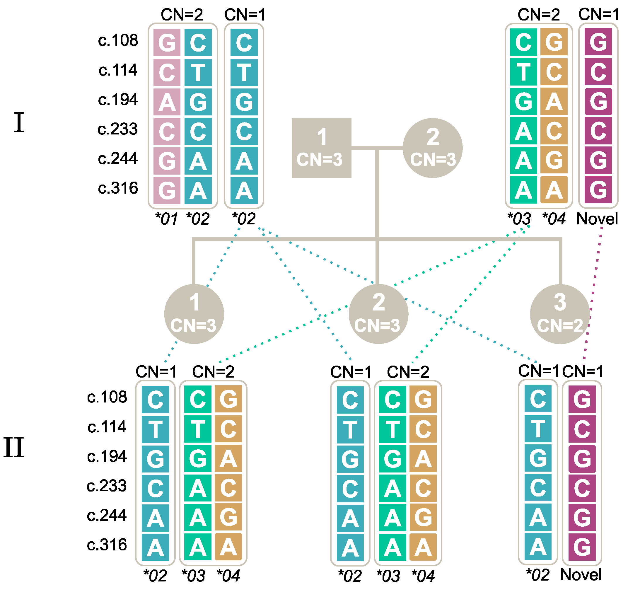 Ijms 25 09127 g002 Ijms 25 09127 g002