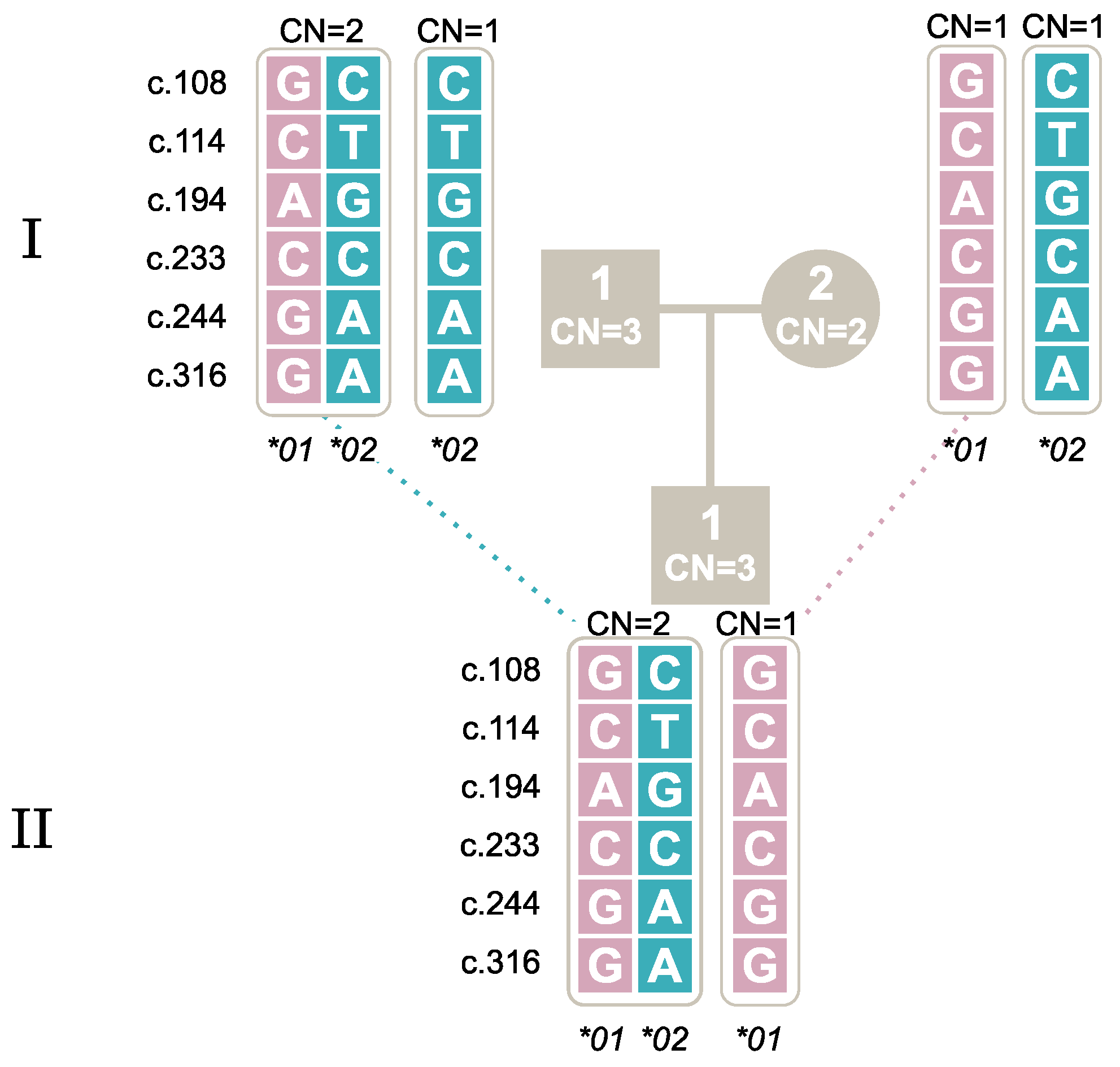 Ijms 25 09127 g005 Ijms 25 09127 g005