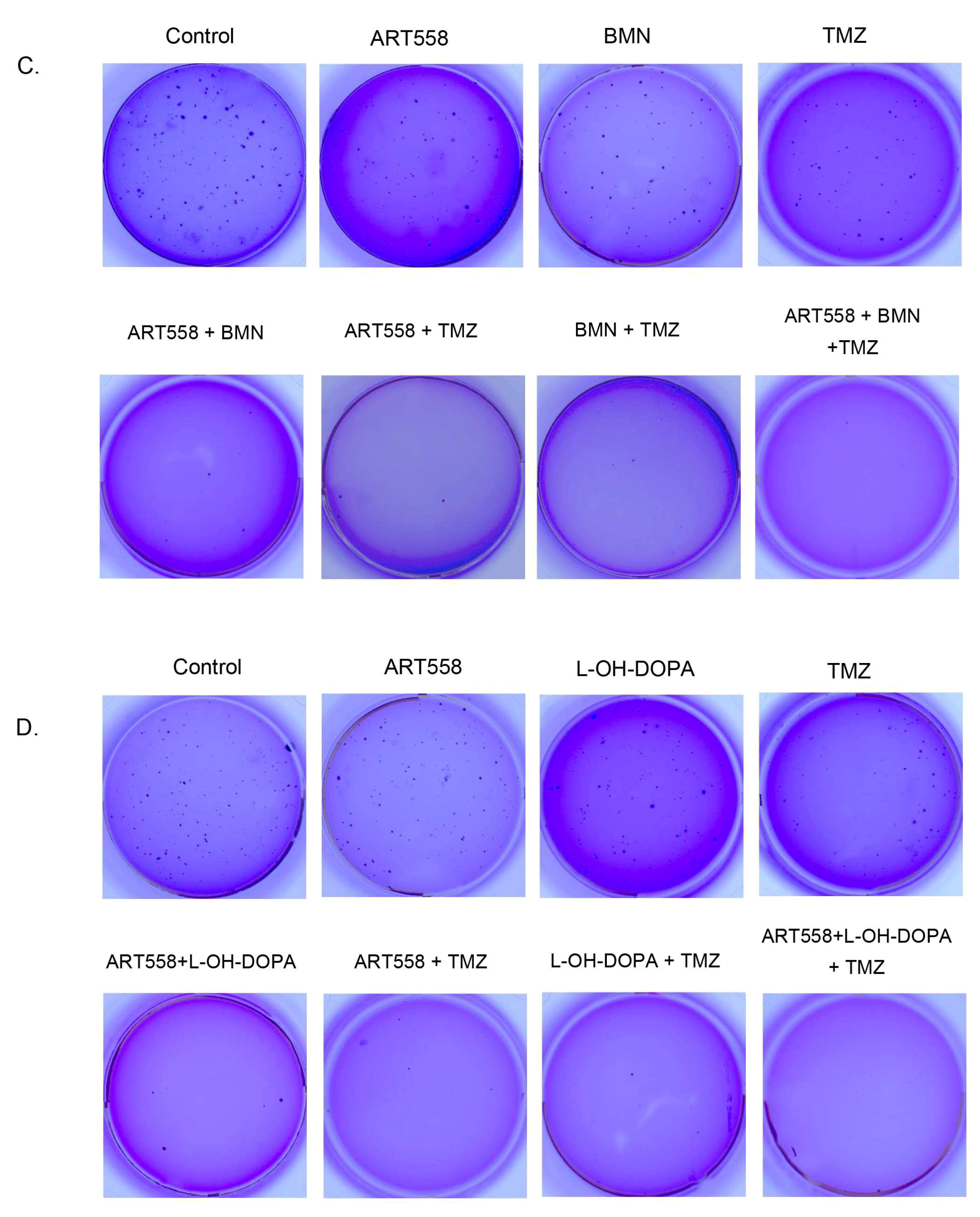 Ijms 25 09134 g004b Ijms 25 09134 g004b