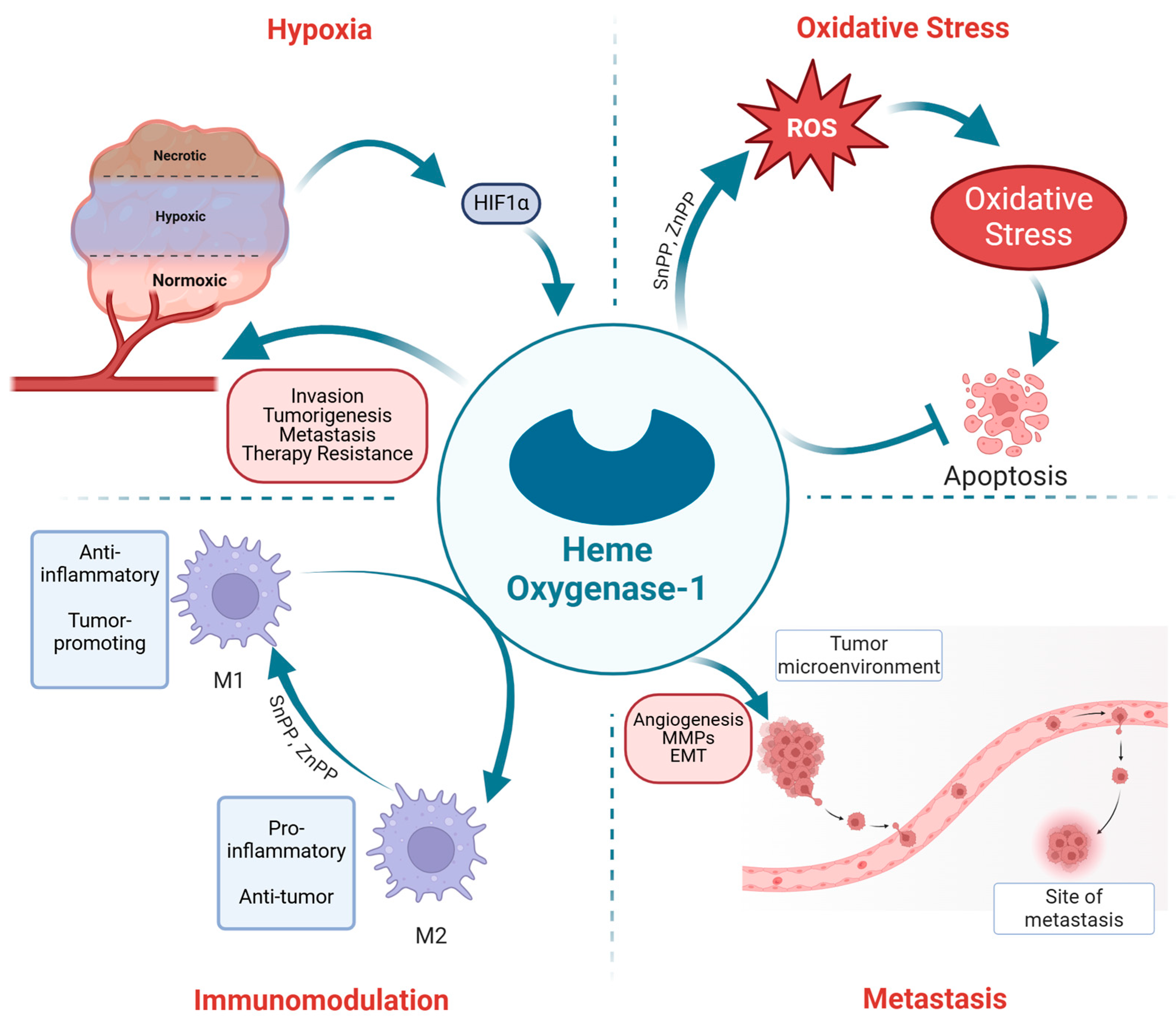 Ijms 25 09195 g004 Ijms 25 09195 g004