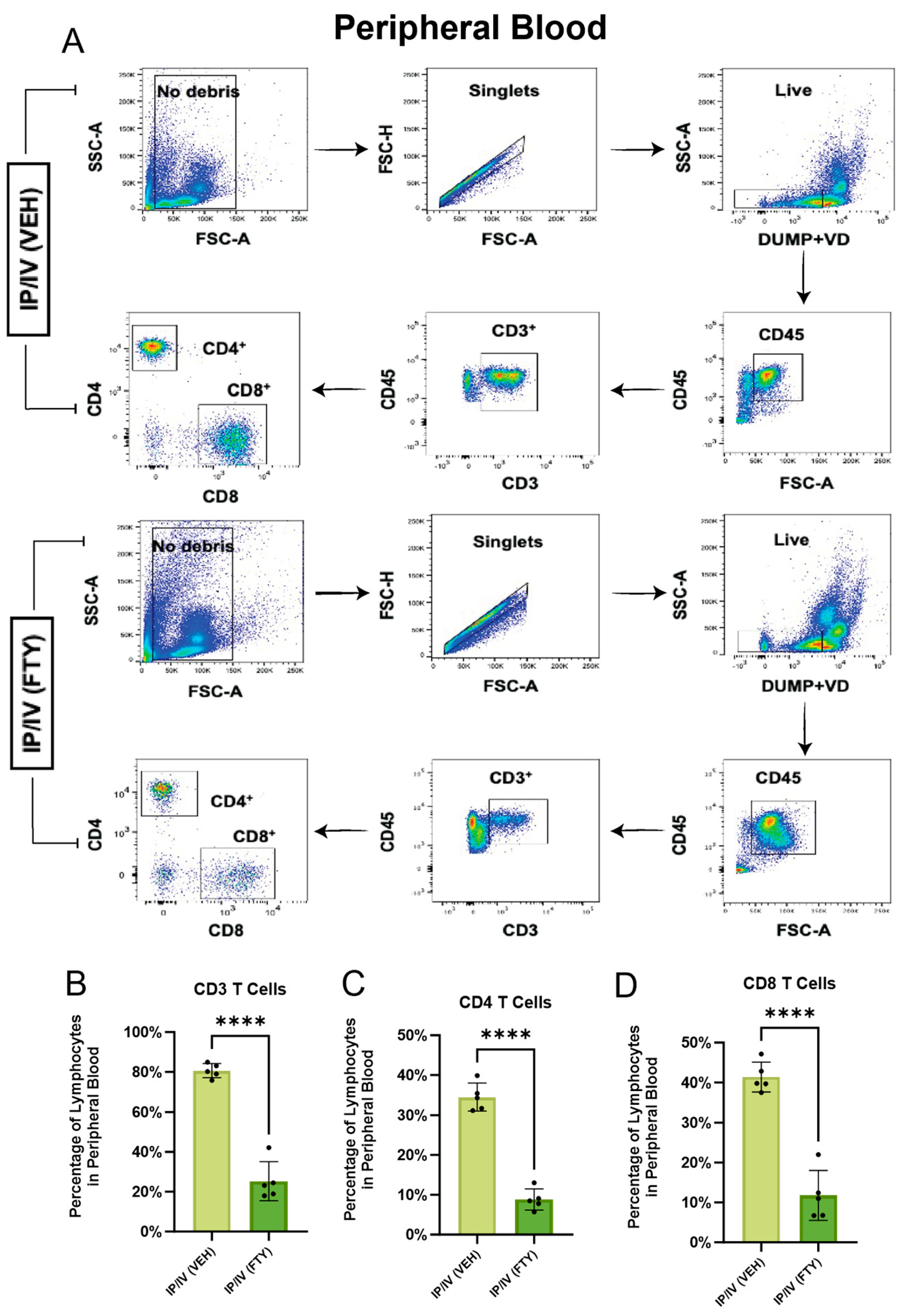 Ijms 25 09202 g001 Ijms 25 09202 g001
