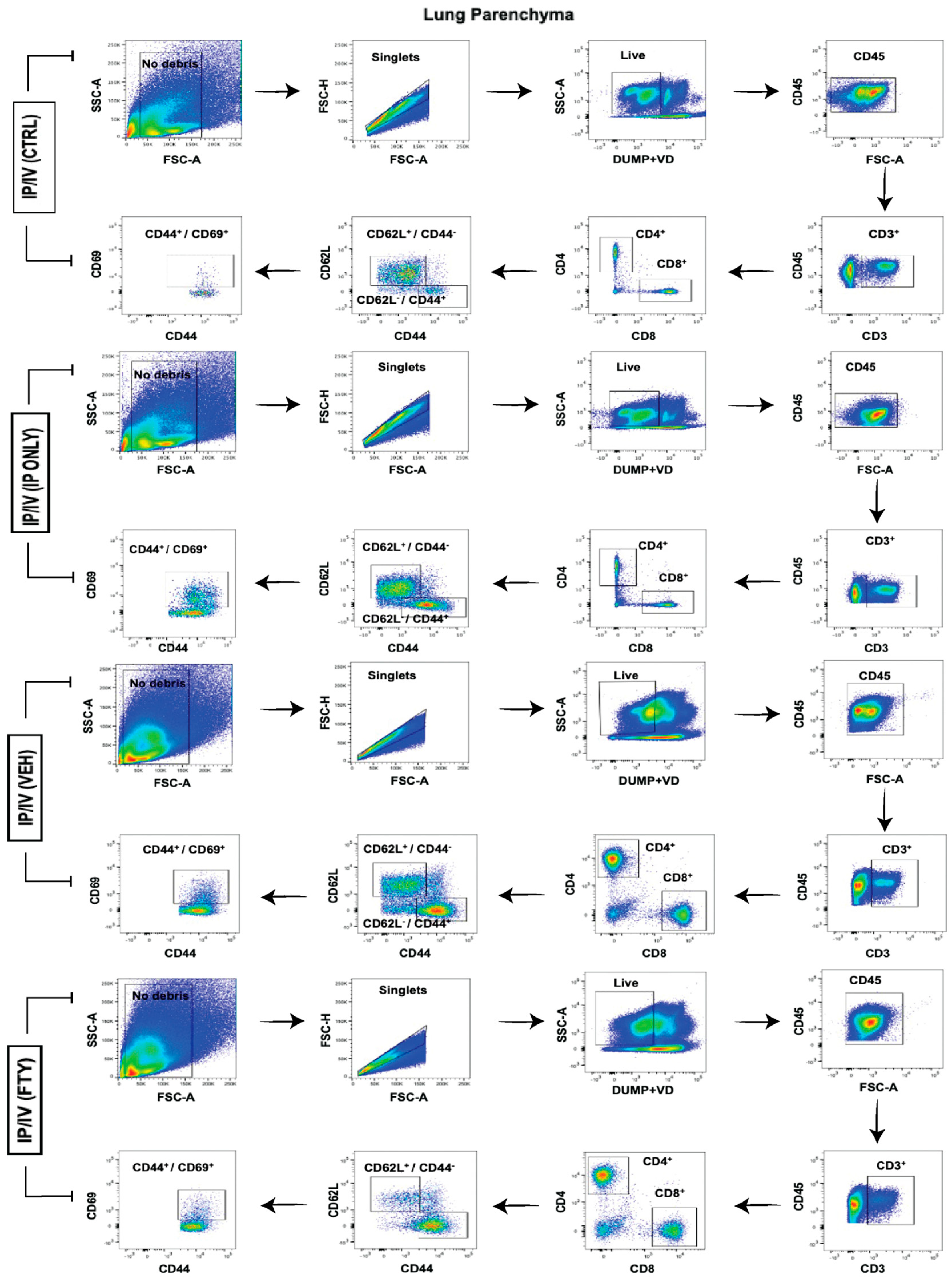 Ijms 25 09202 g005 Ijms 25 09202 g005