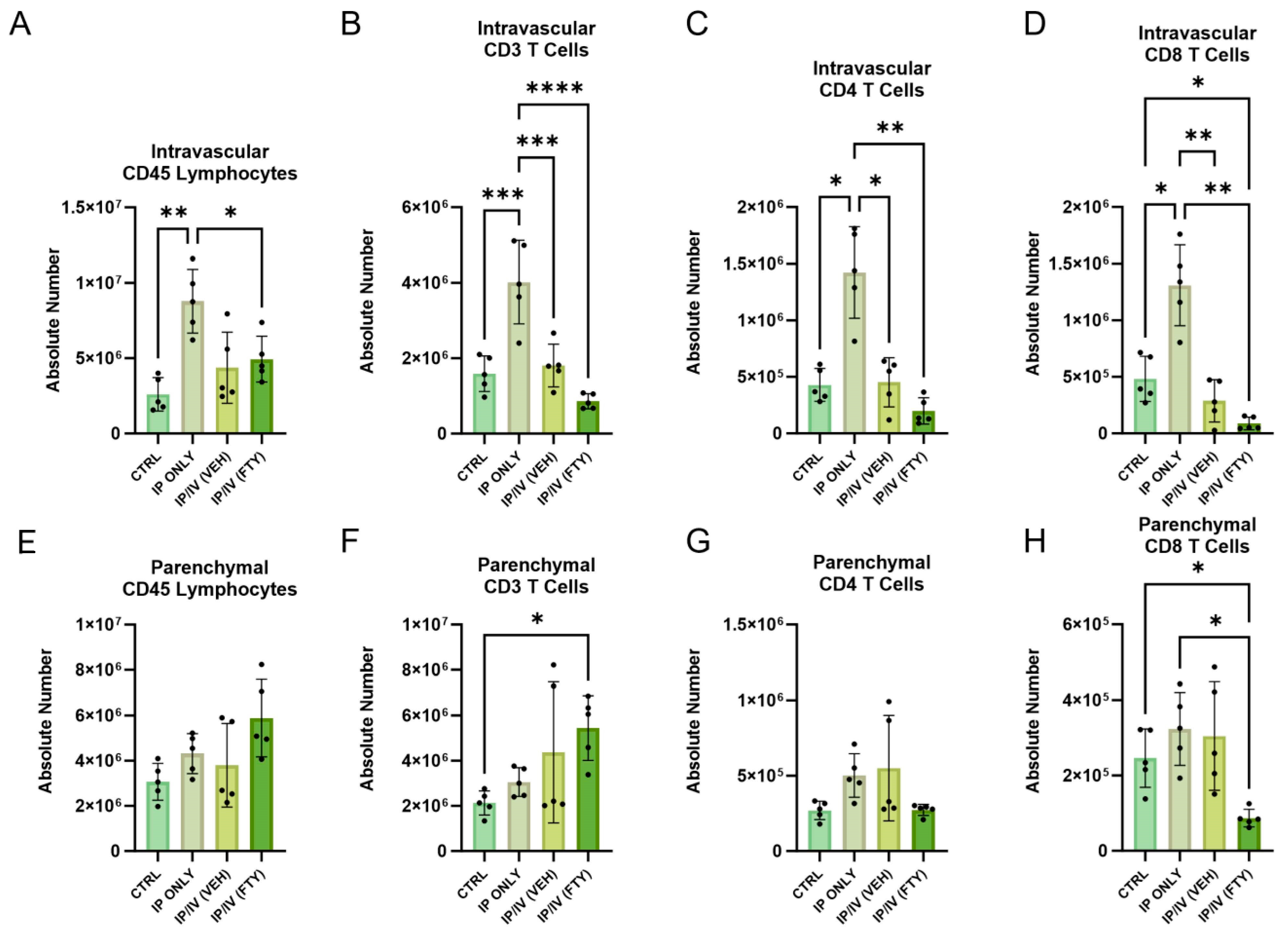 Ijms 25 09202 g006 Ijms 25 09202 g006