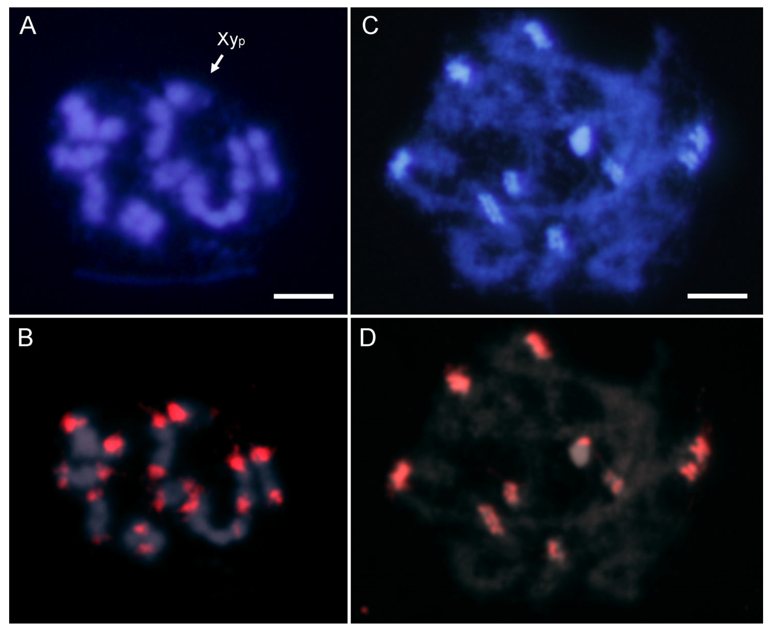 Ijms 25 09214 g002 Ijms 25 09214 g002