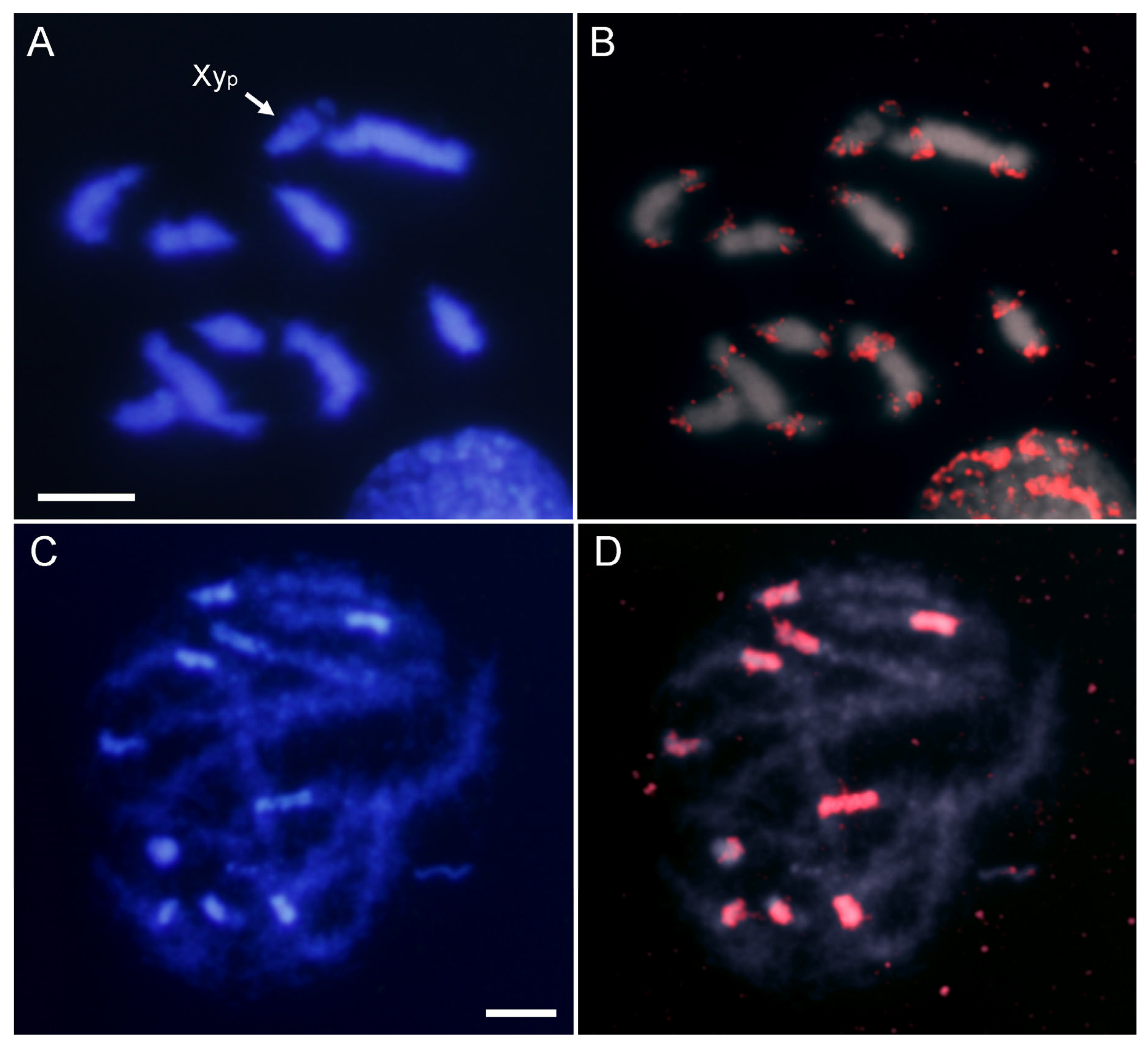 Ijms 25 09214 g004 Ijms 25 09214 g004