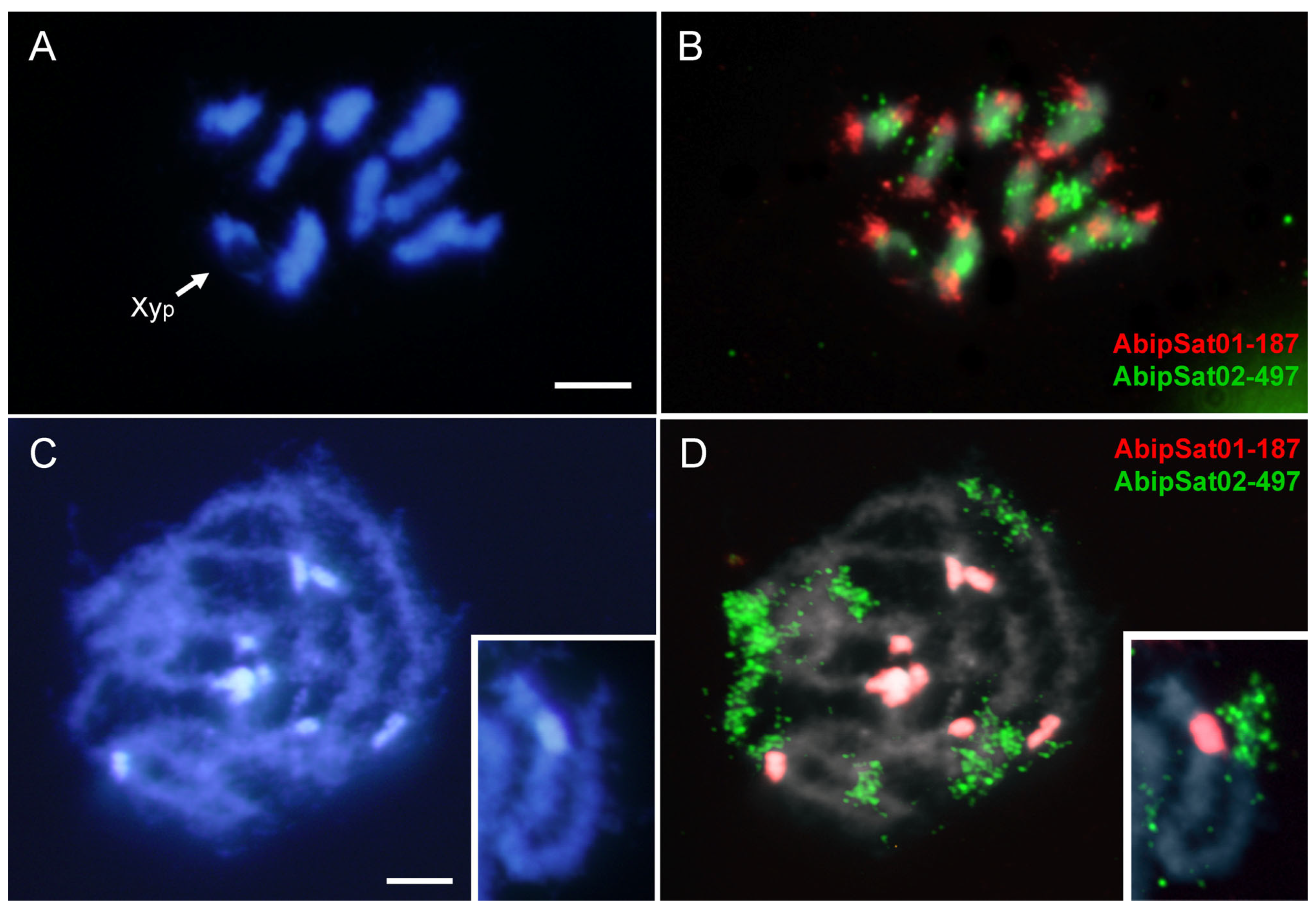 Ijms 25 09214 g006 Ijms 25 09214 g006
