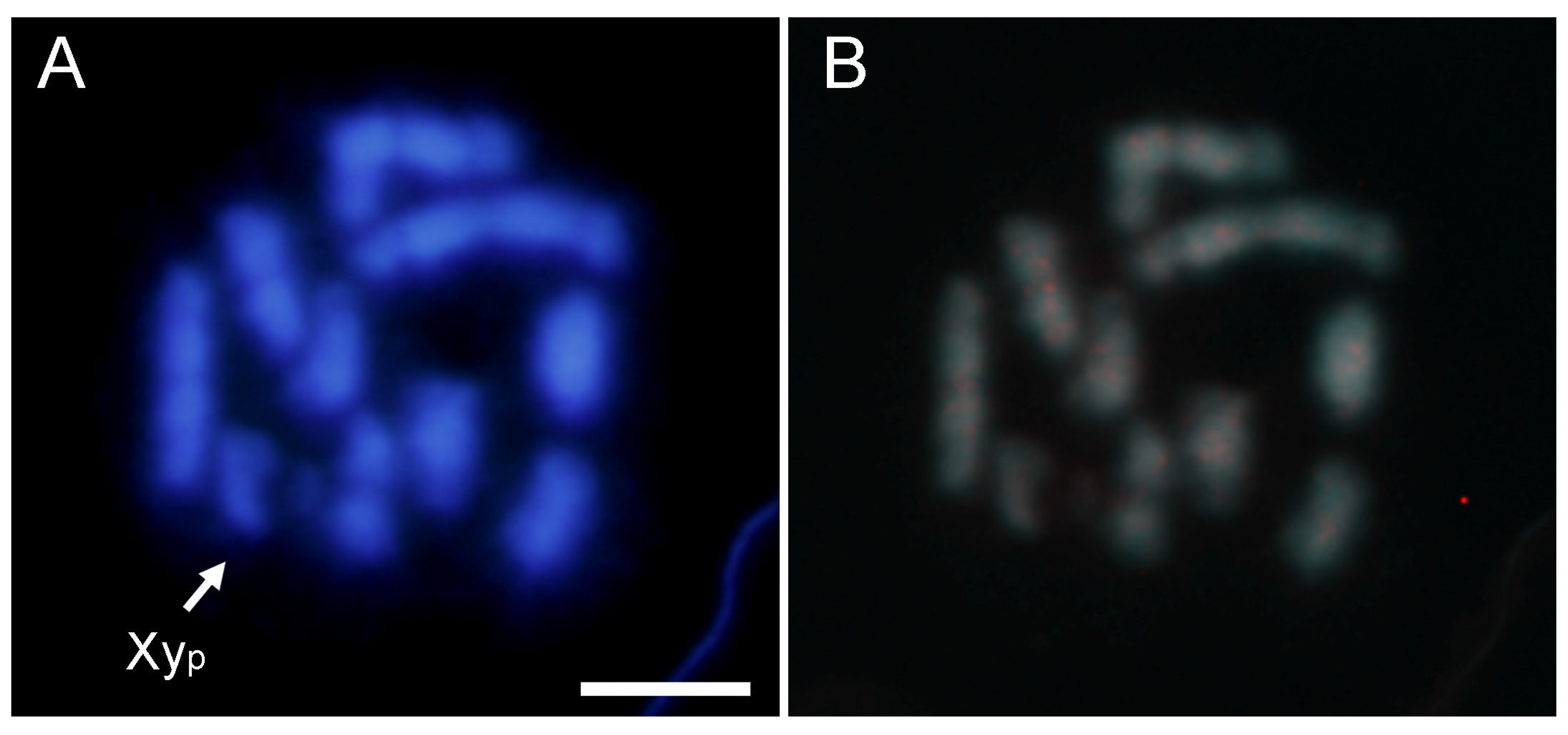 Ijms 25 09214 g007 Ijms 25 09214 g007