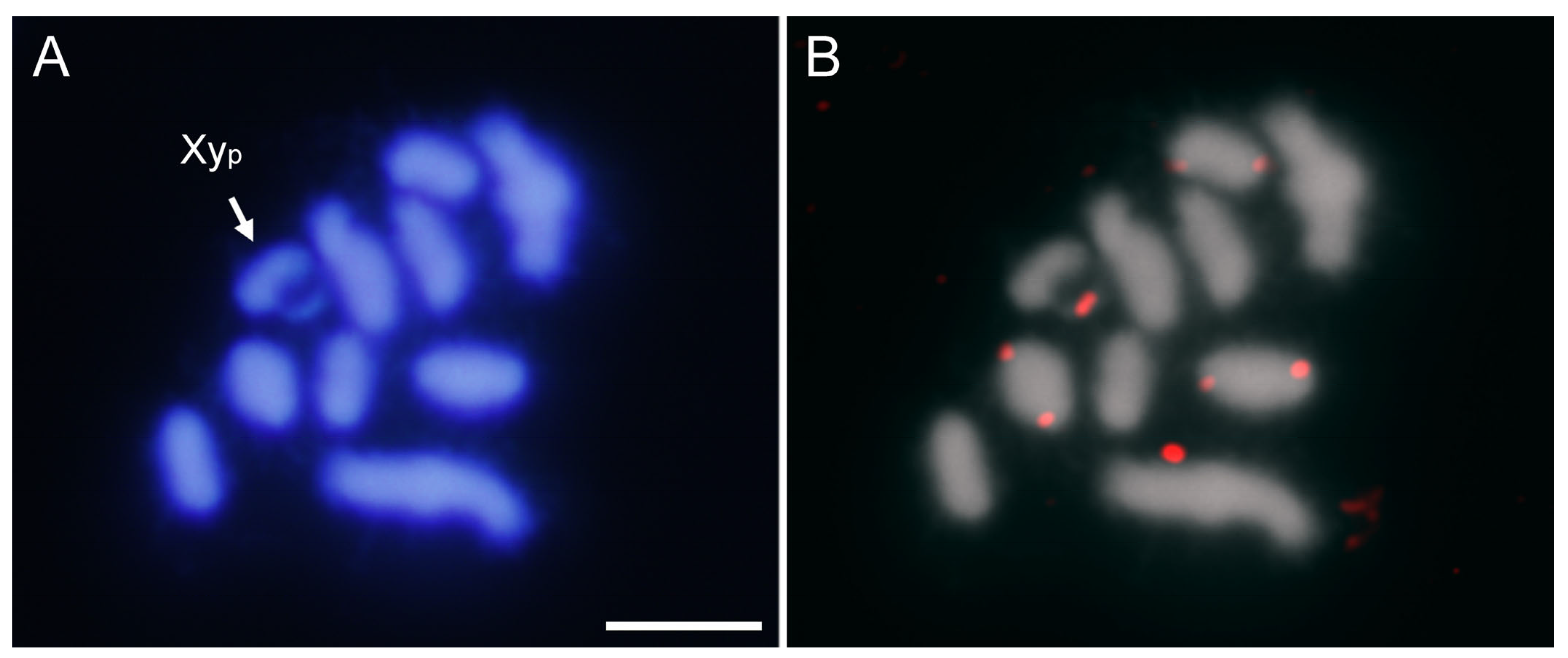 Ijms 25 09214 g009 Ijms 25 09214 g009