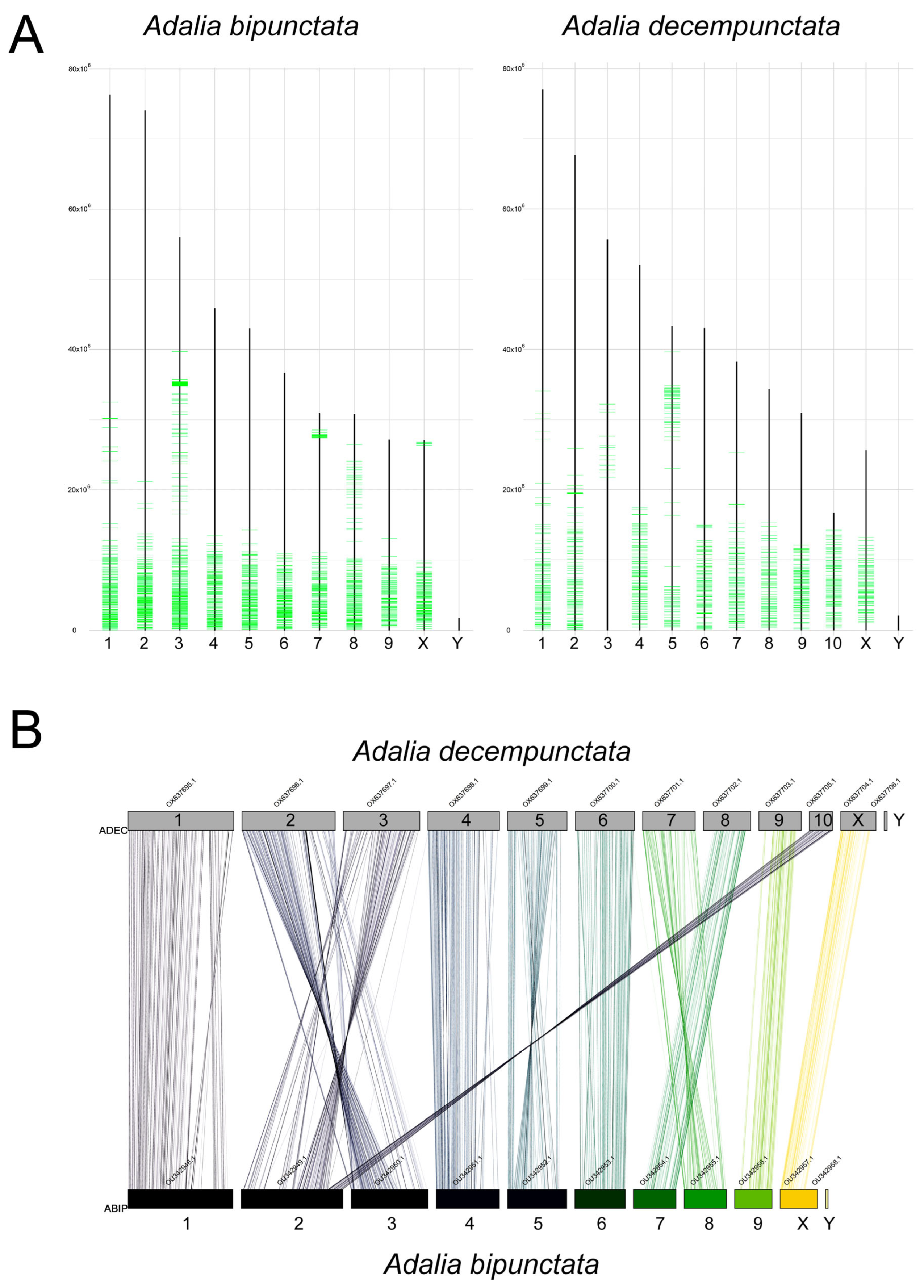 Ijms 25 09214 g010 Ijms 25 09214 g010