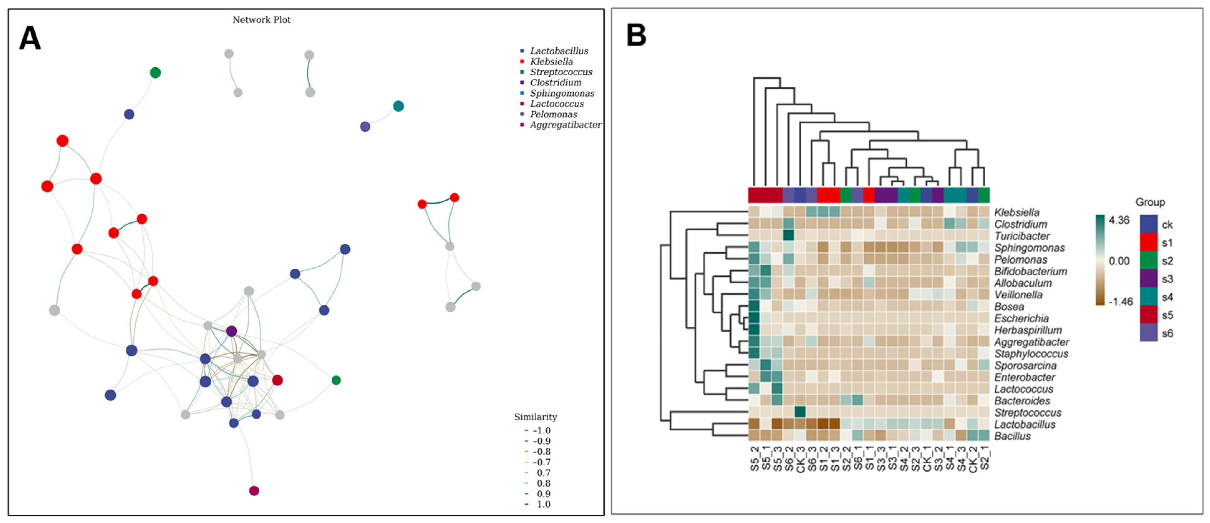 Ijms 25 09222 g004 Ijms 25 09222 g004