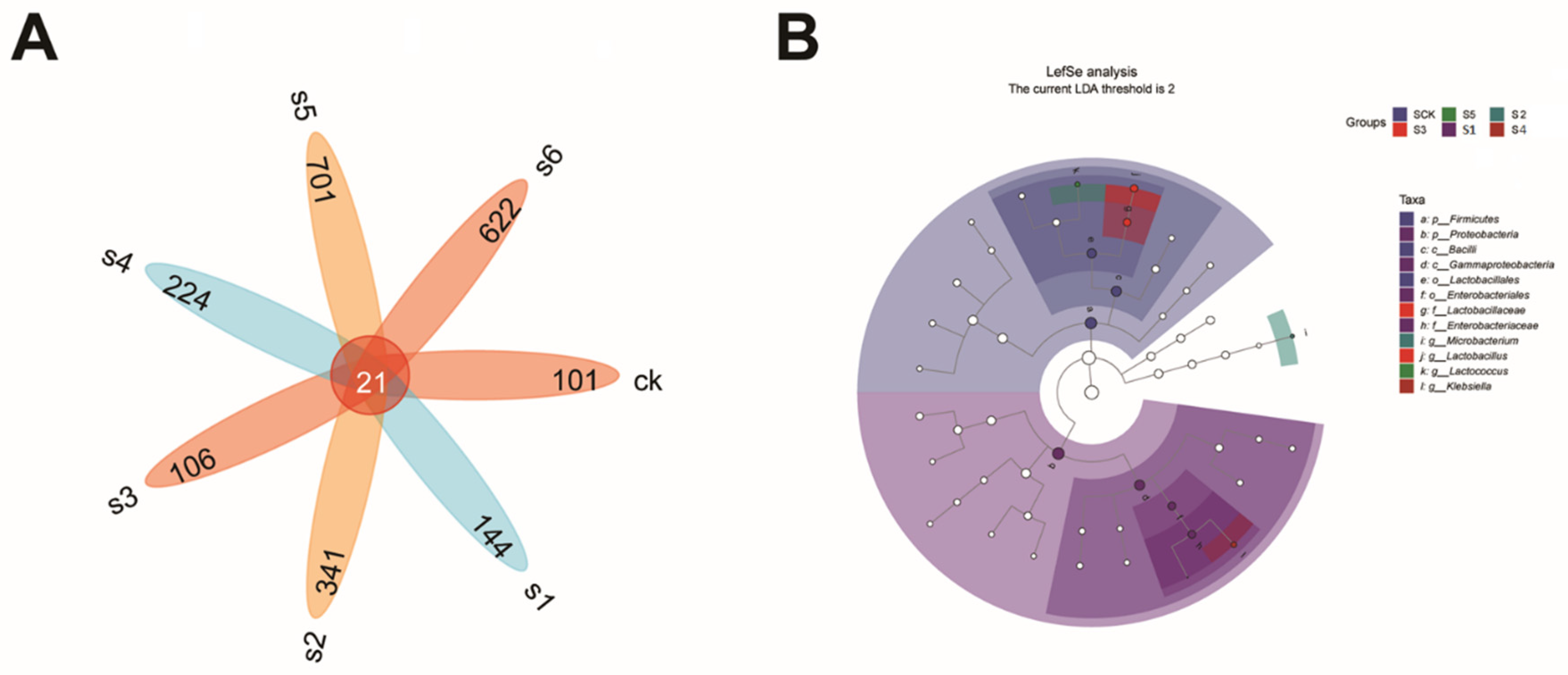 Ijms 25 09222 g006 Ijms 25 09222 g006