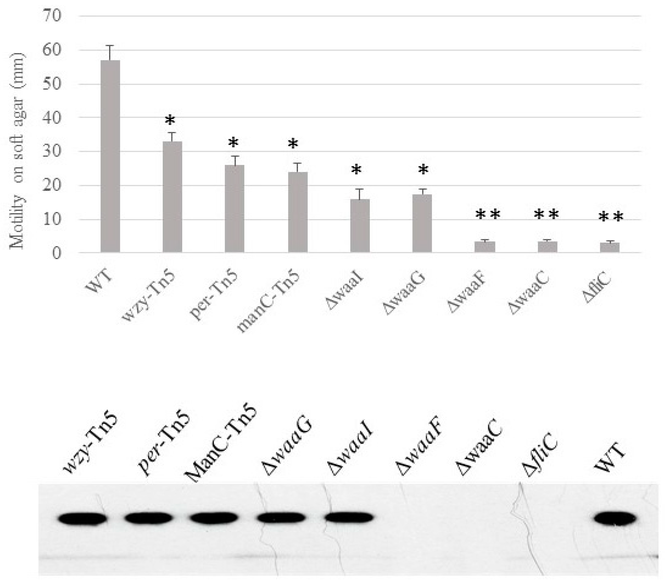 Ijms 25 09224 g004 Ijms 25 09224 g004