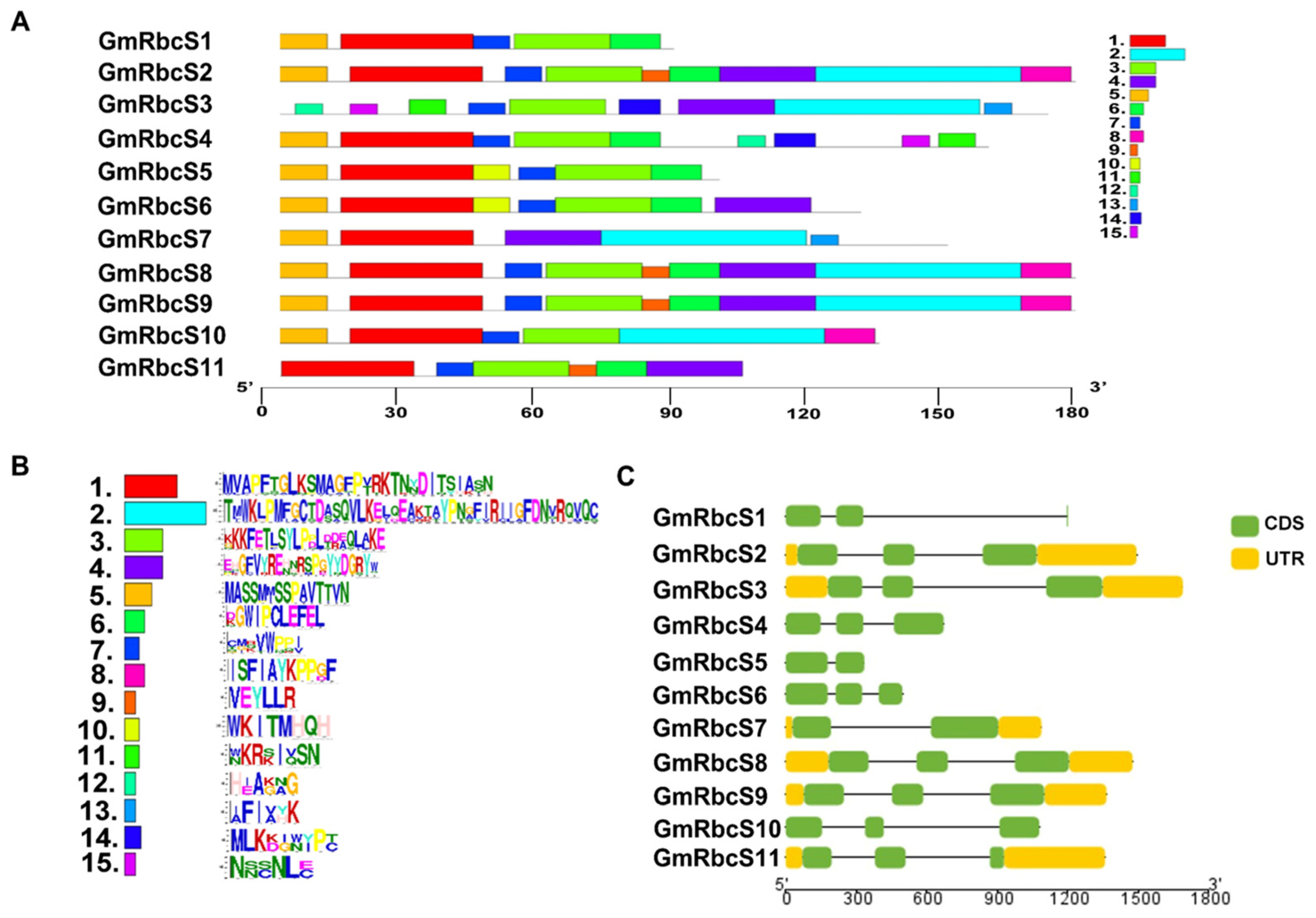 Ijms 25 09231 g001 Ijms 25 09231 g001