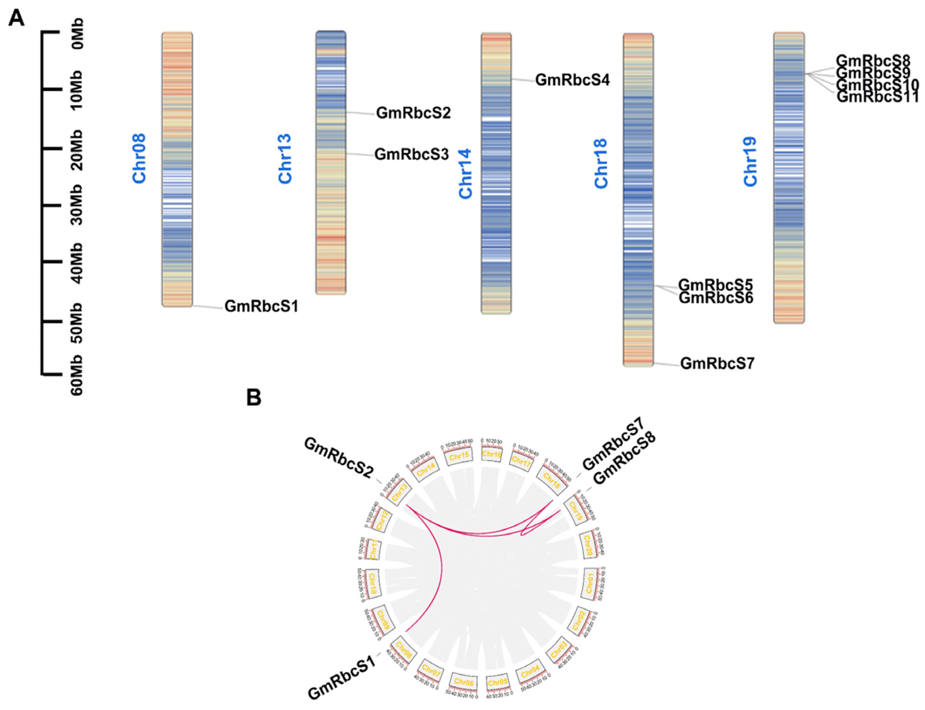 Ijms 25 09231 g003 Ijms 25 09231 g003