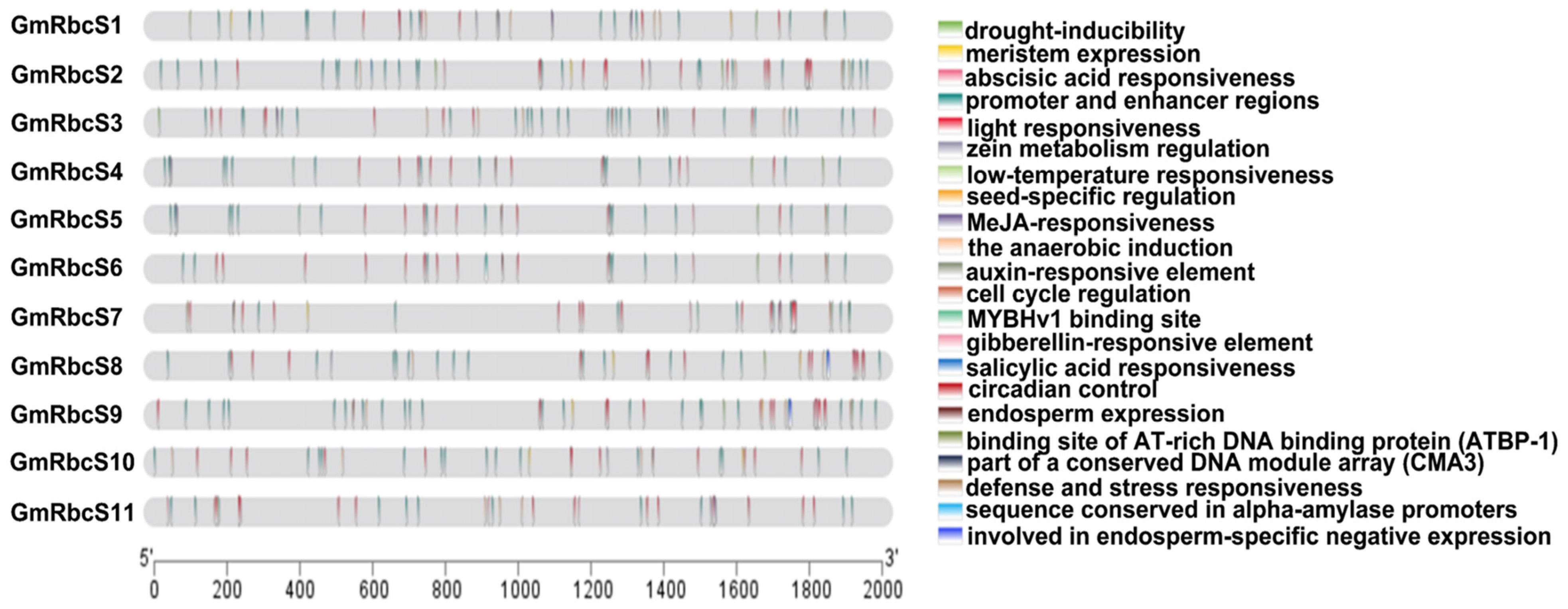 Ijms 25 09231 g005 Ijms 25 09231 g005
