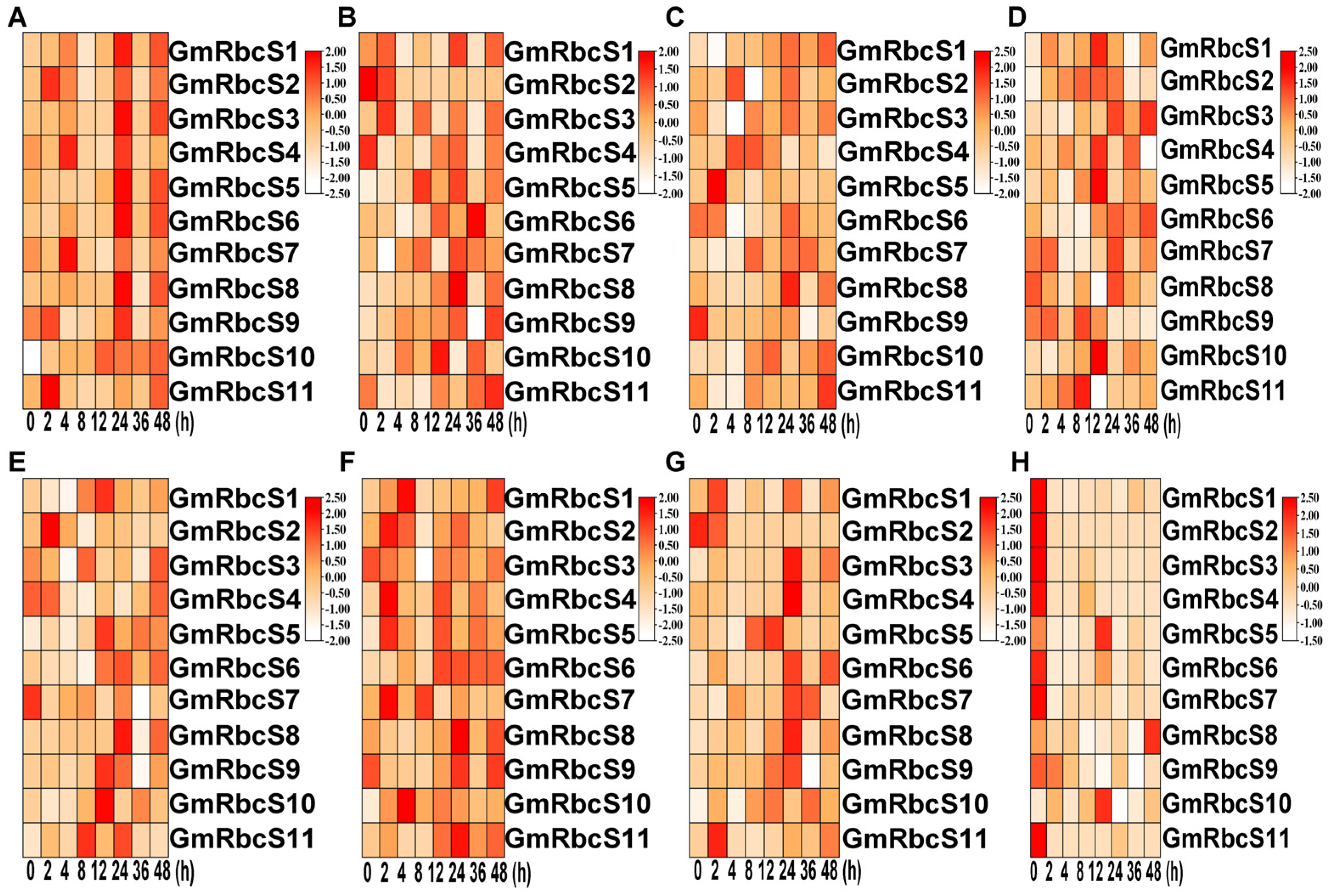 Ijms 25 09231 g008 Ijms 25 09231 g008