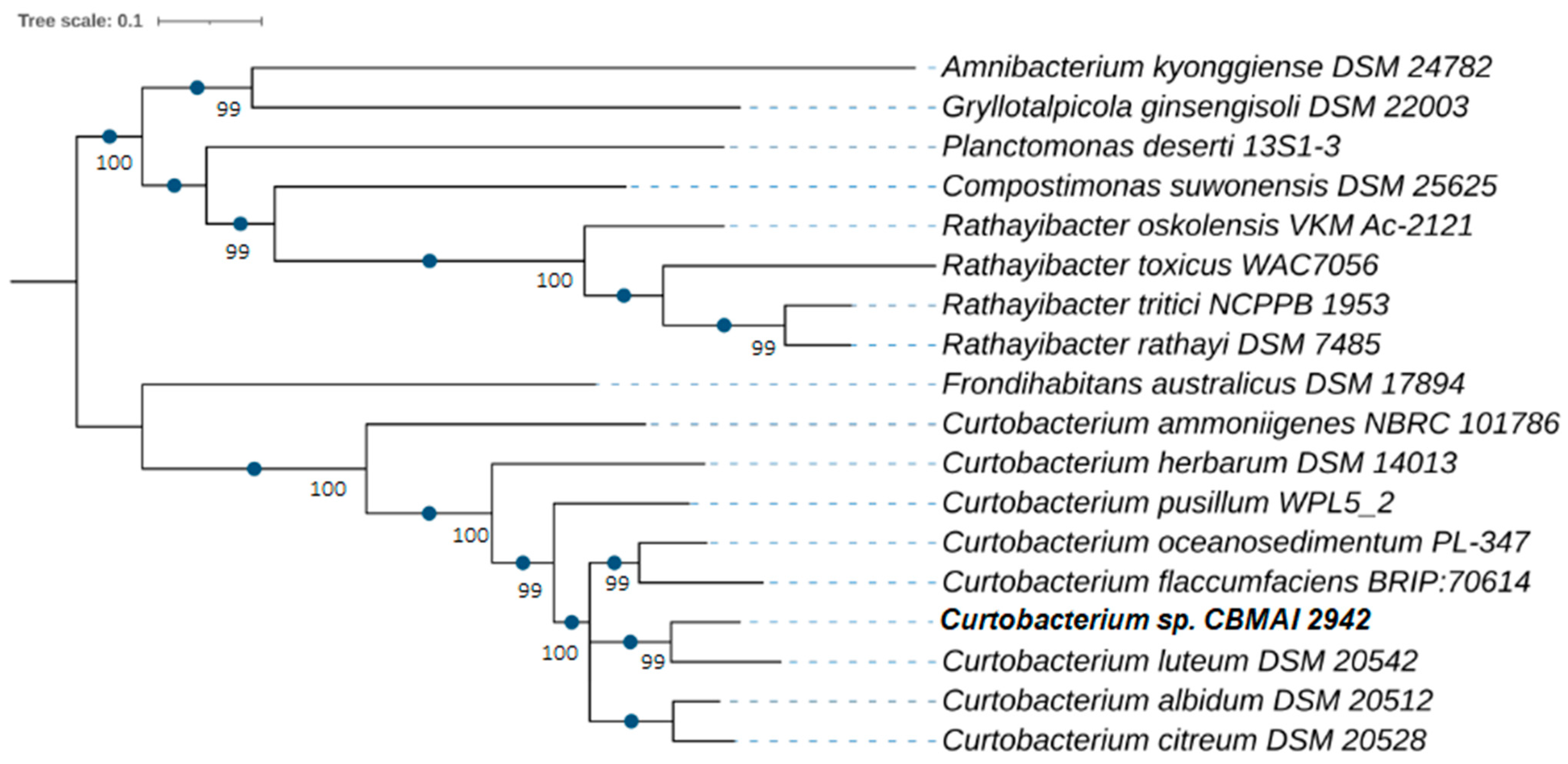 Ijms 25 09250 g001 Ijms 25 09250 g001