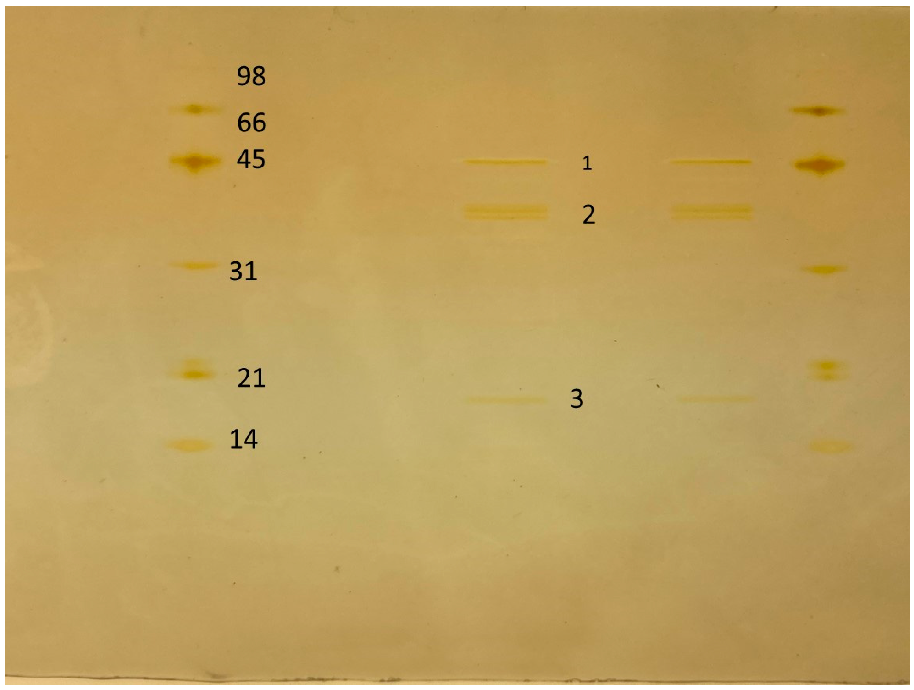 Ijms 25 09250 g006 Ijms 25 09250 g006