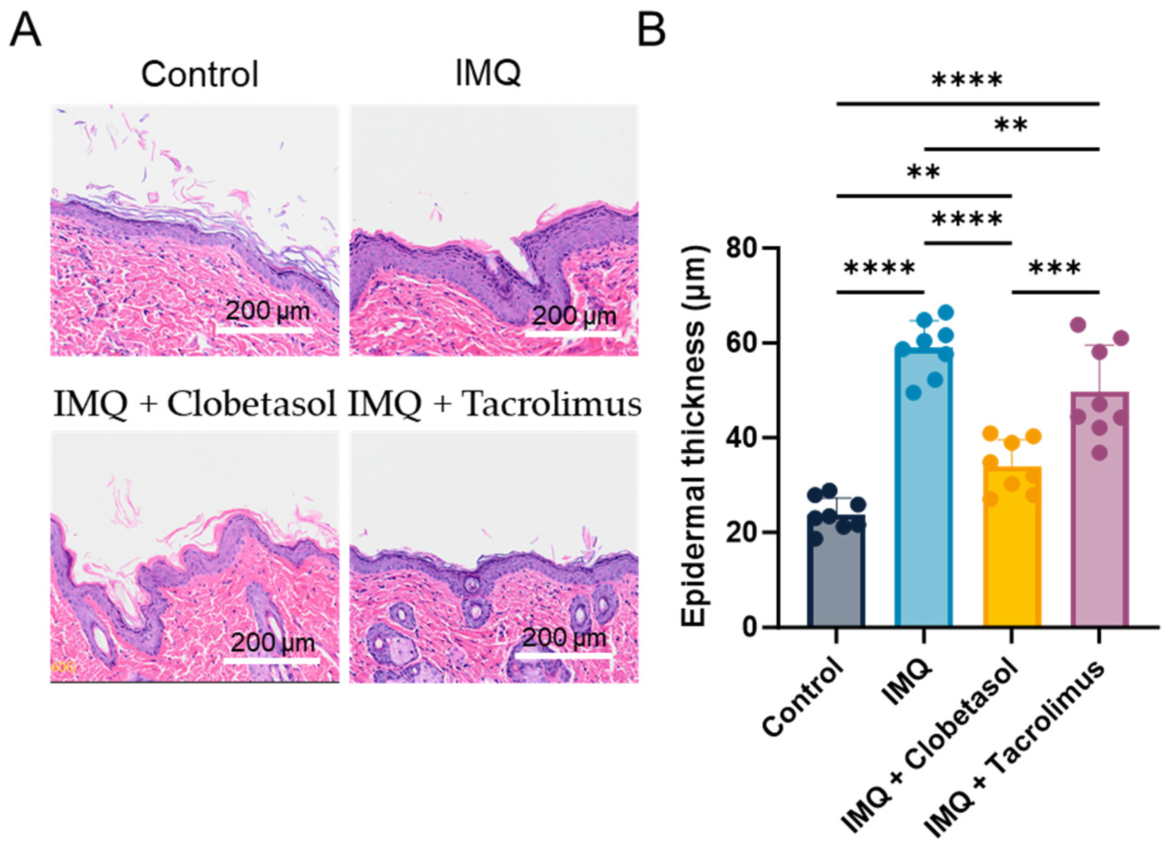 Ijms 25 09254 g004 Ijms 25 09254 g004