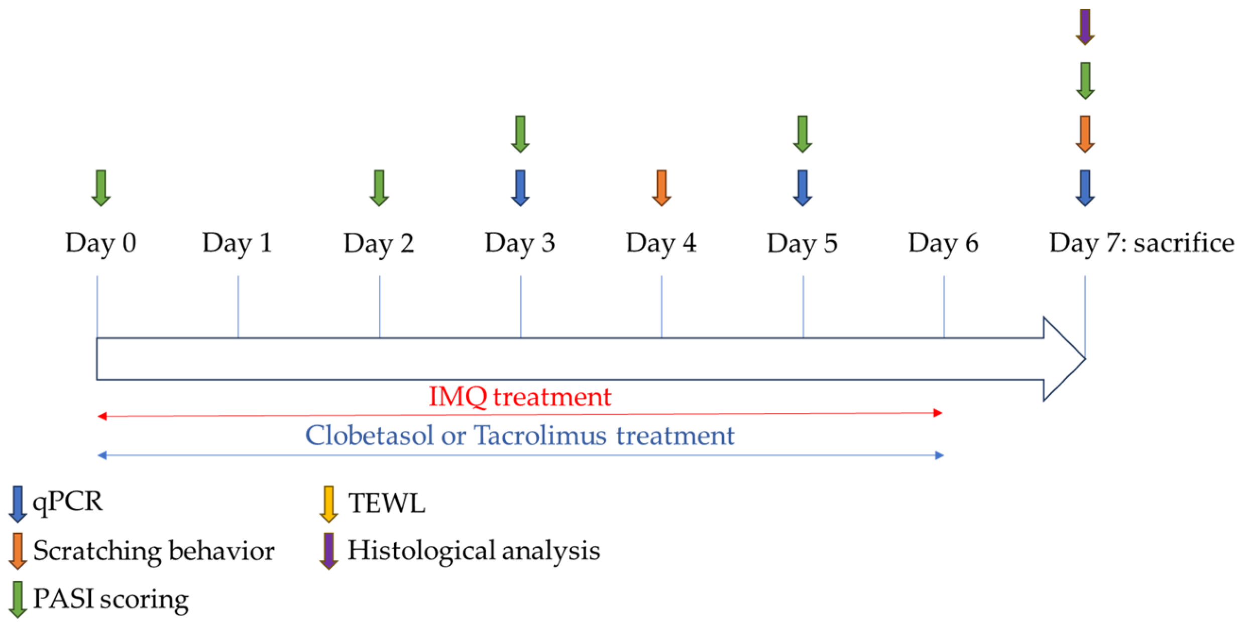 Ijms 25 09254 g006 Ijms 25 09254 g006
