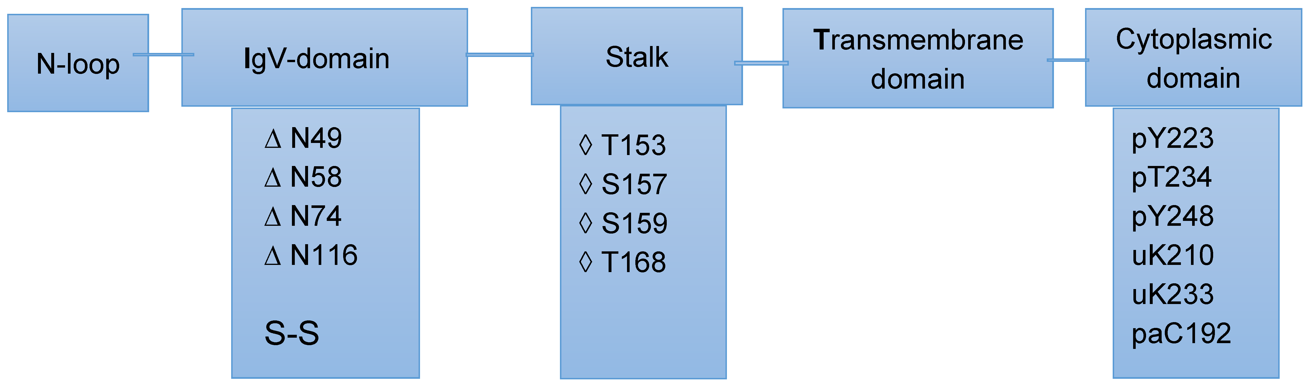 Ijms 25 09276 g001 Ijms 25 09276 g001