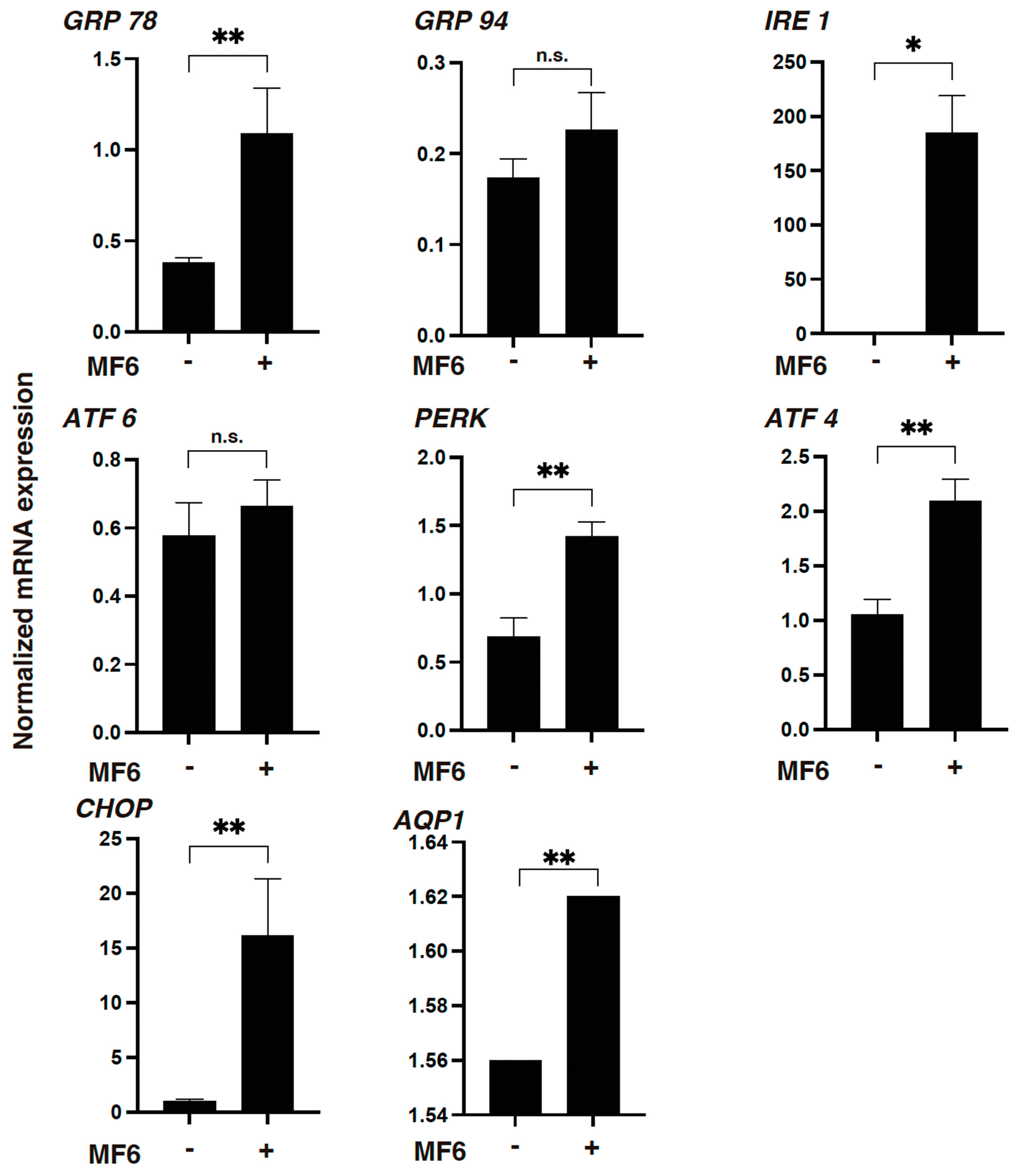 Ijms 25 09285 g005 Ijms 25 09285 g005
