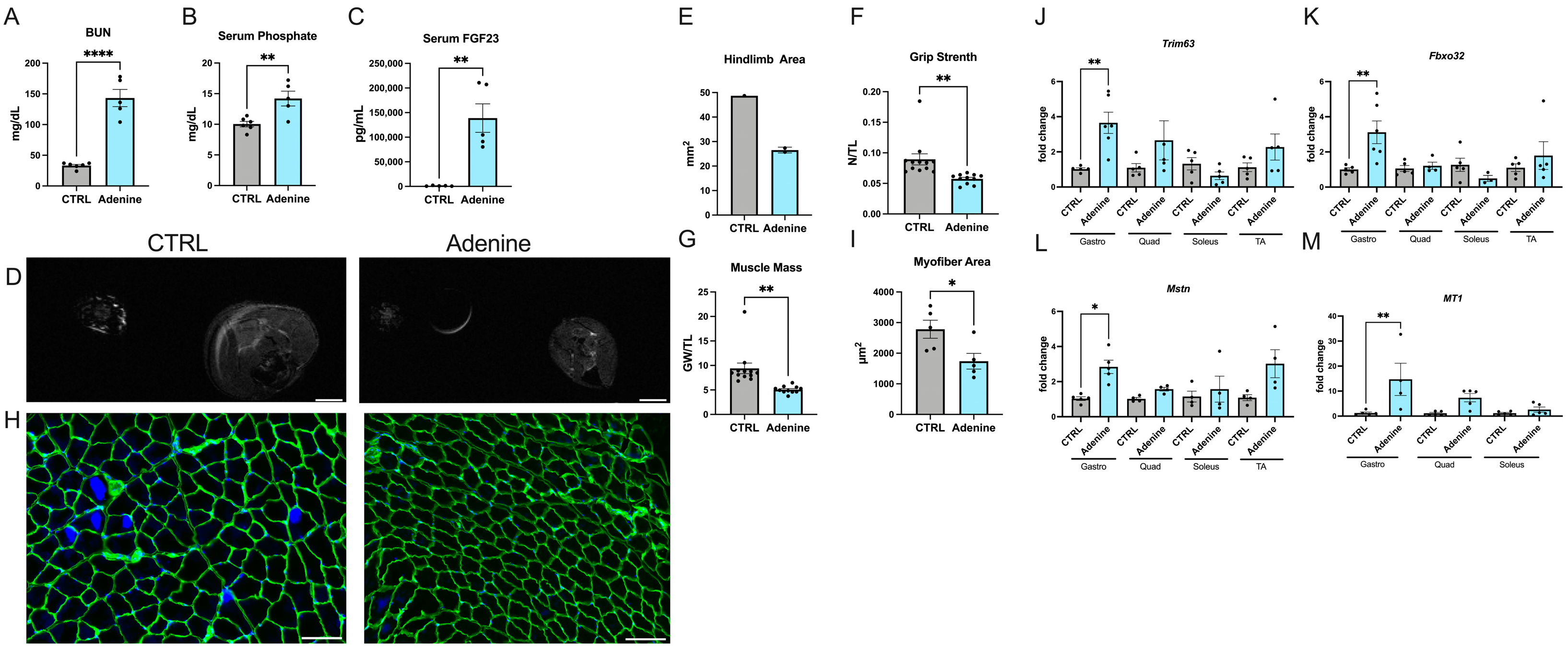 Ijms 25 09308 g001 Ijms 25 09308 g001