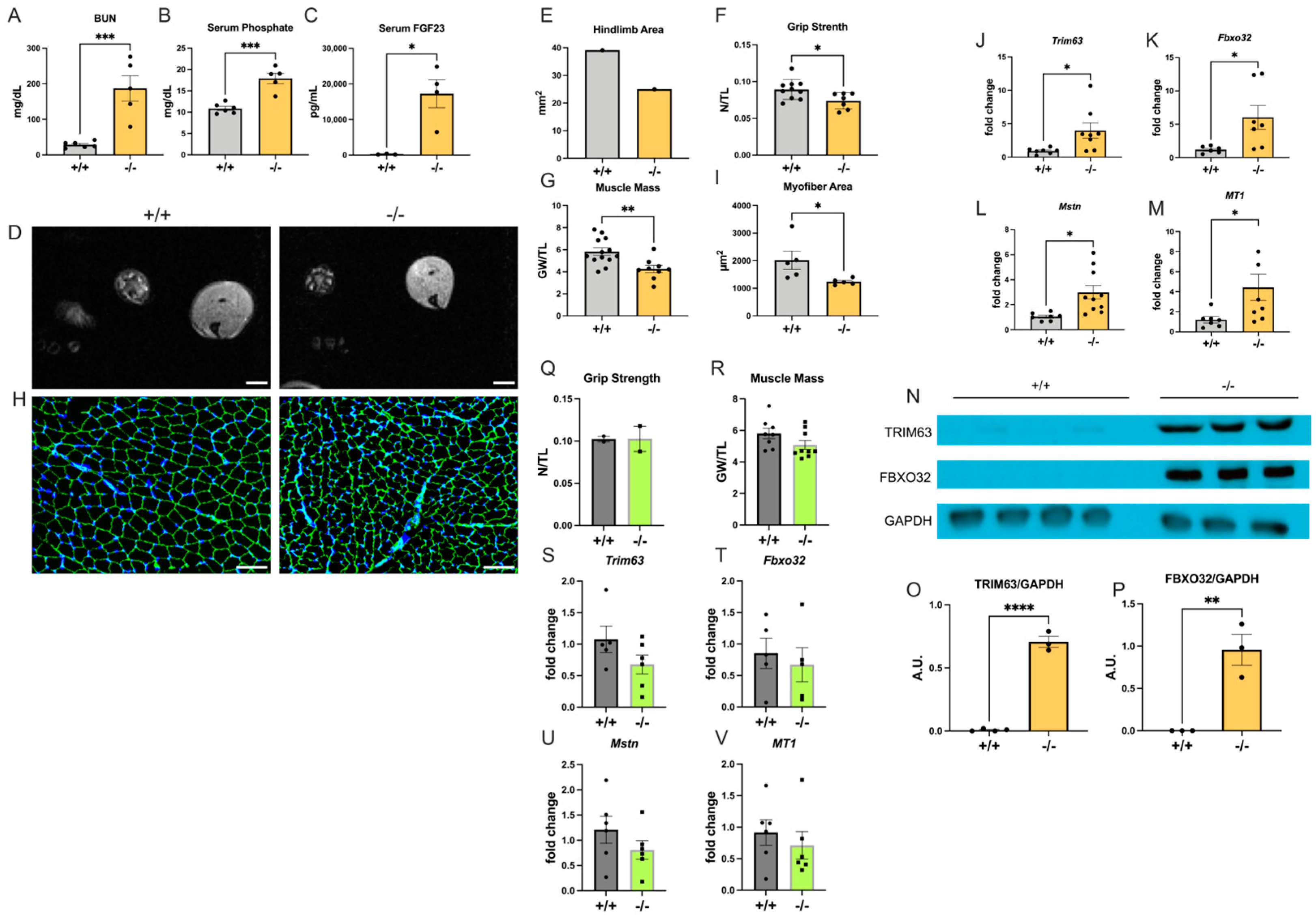 Ijms 25 09308 g002 Ijms 25 09308 g002