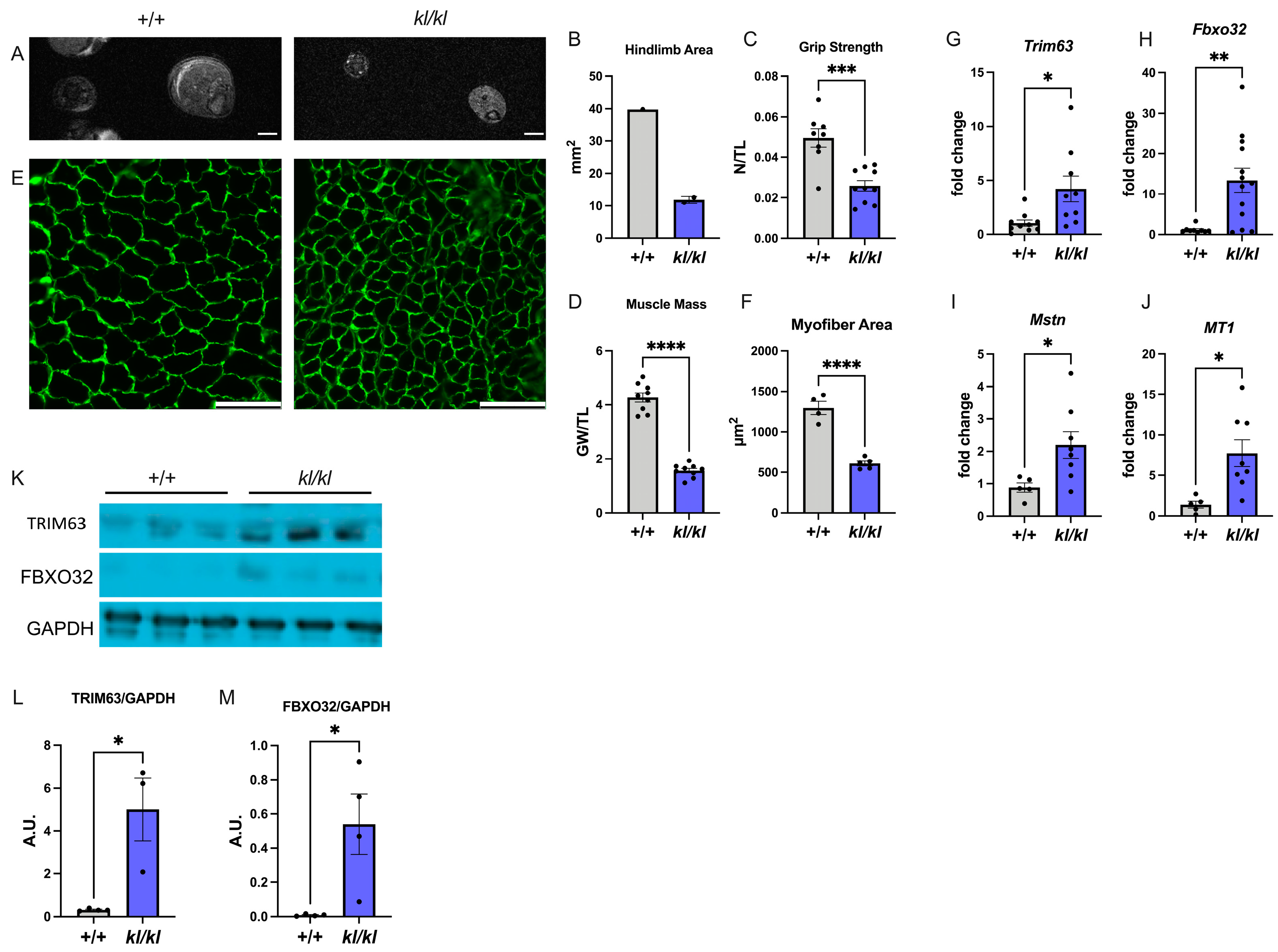 Ijms 25 09308 g003 Ijms 25 09308 g003