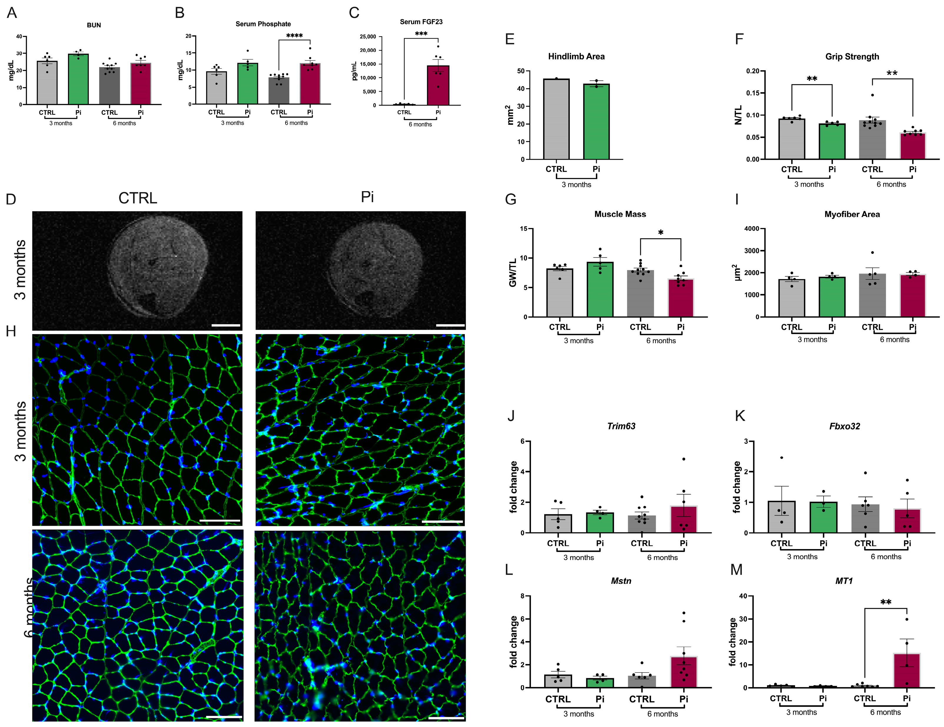 Ijms 25 09308 g004 Ijms 25 09308 g004