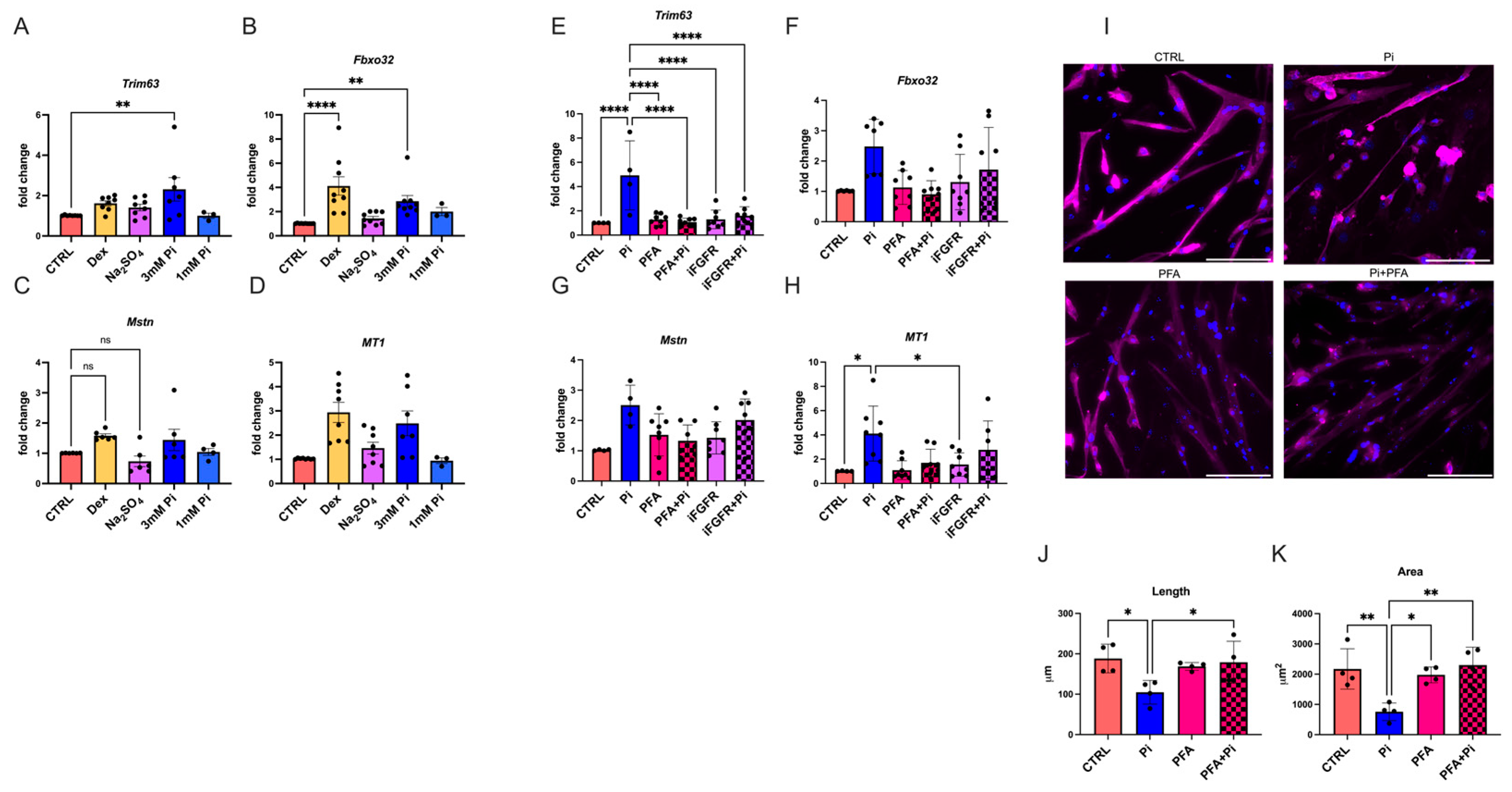 Ijms 25 09308 g005 Ijms 25 09308 g005